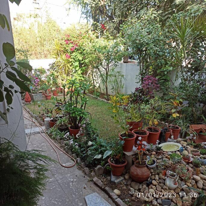 Photo 13