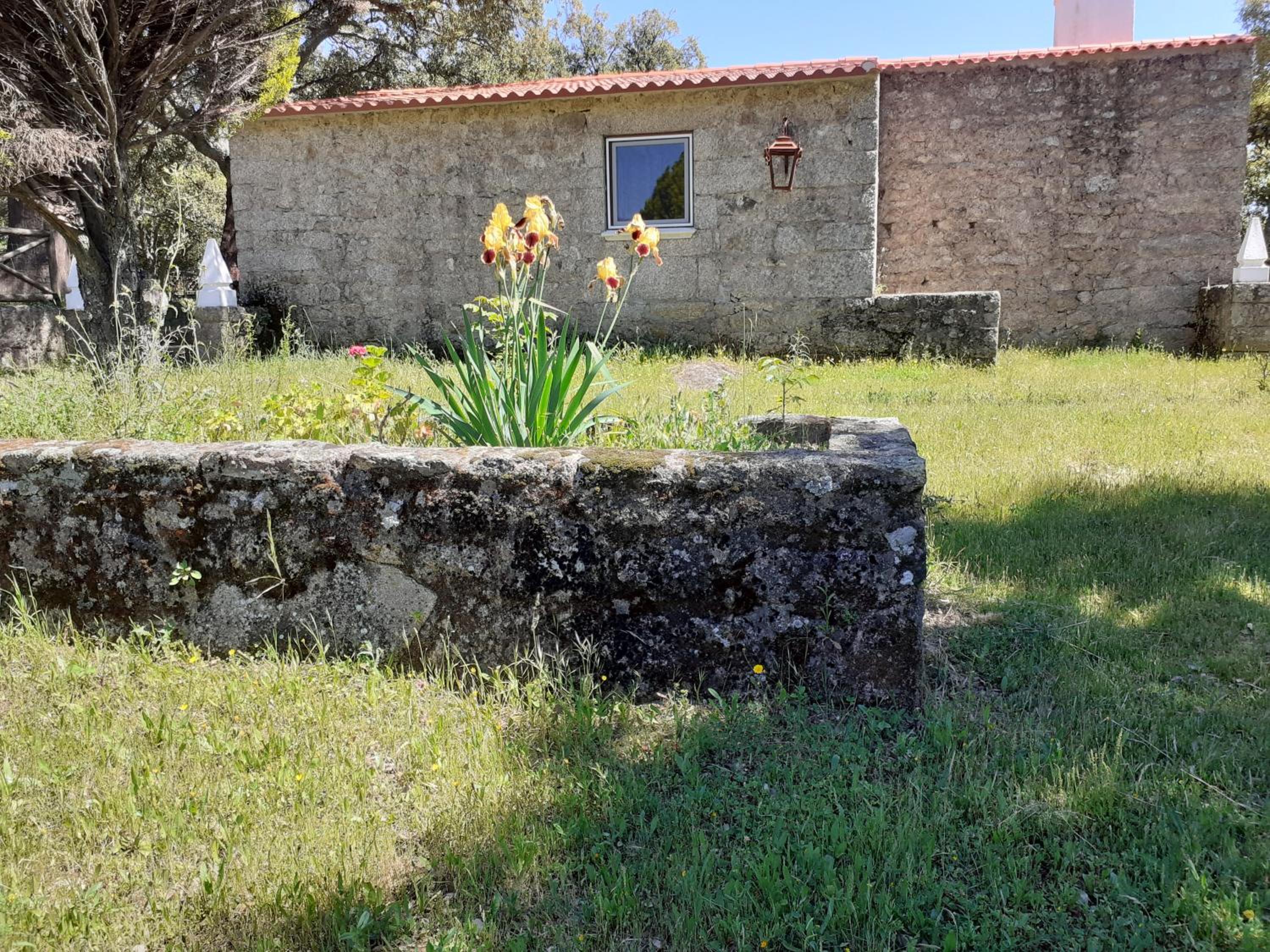 Photo 42