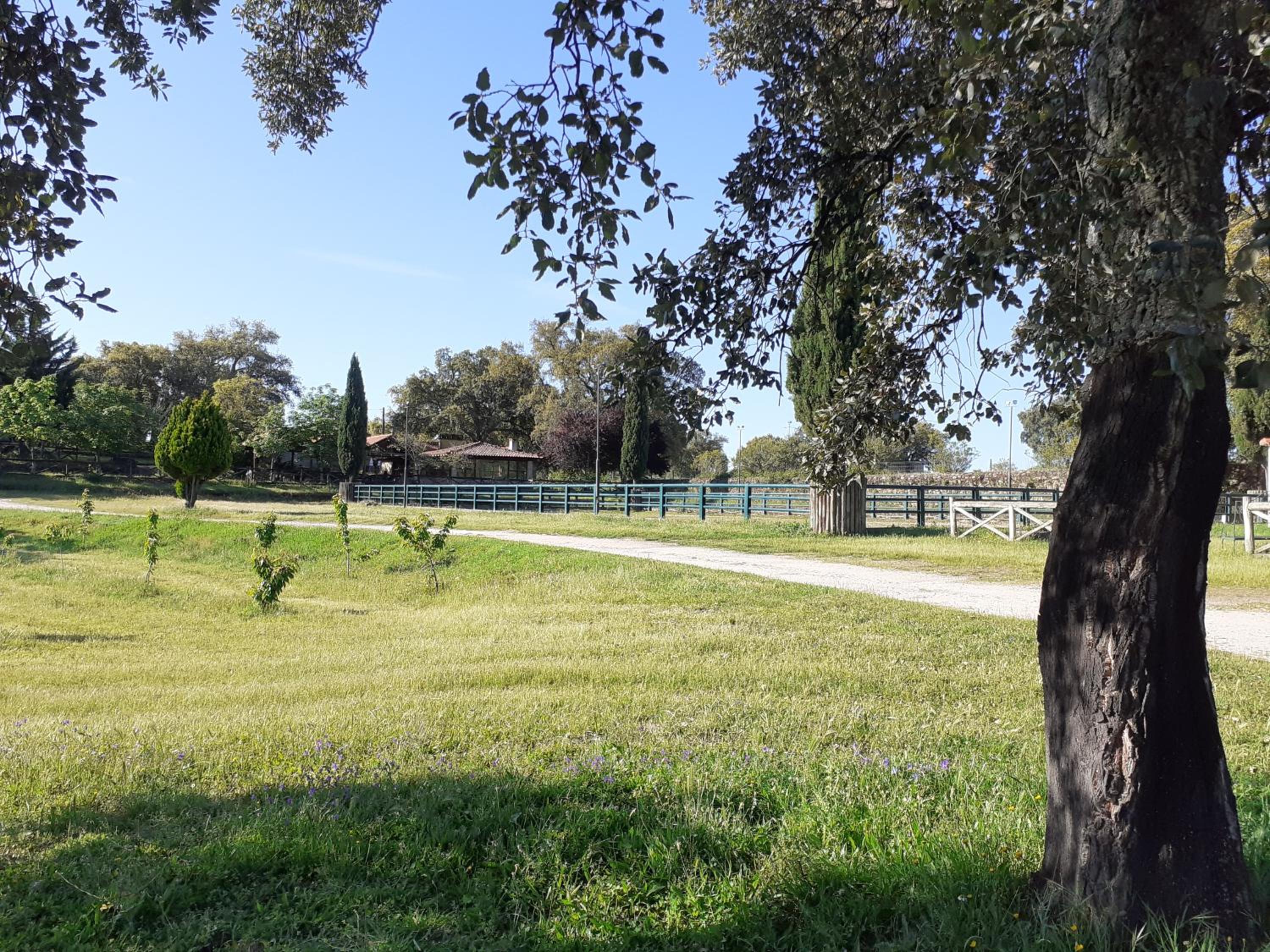 Photo 46