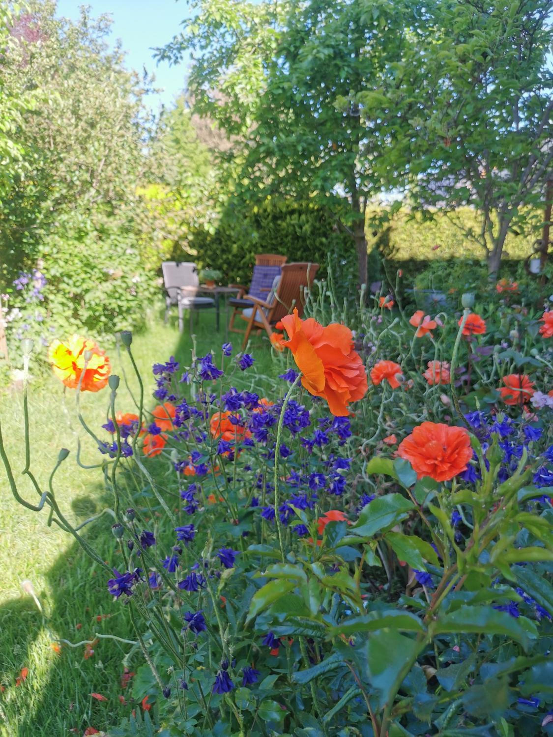 Gartenwohnung Paulsdorf