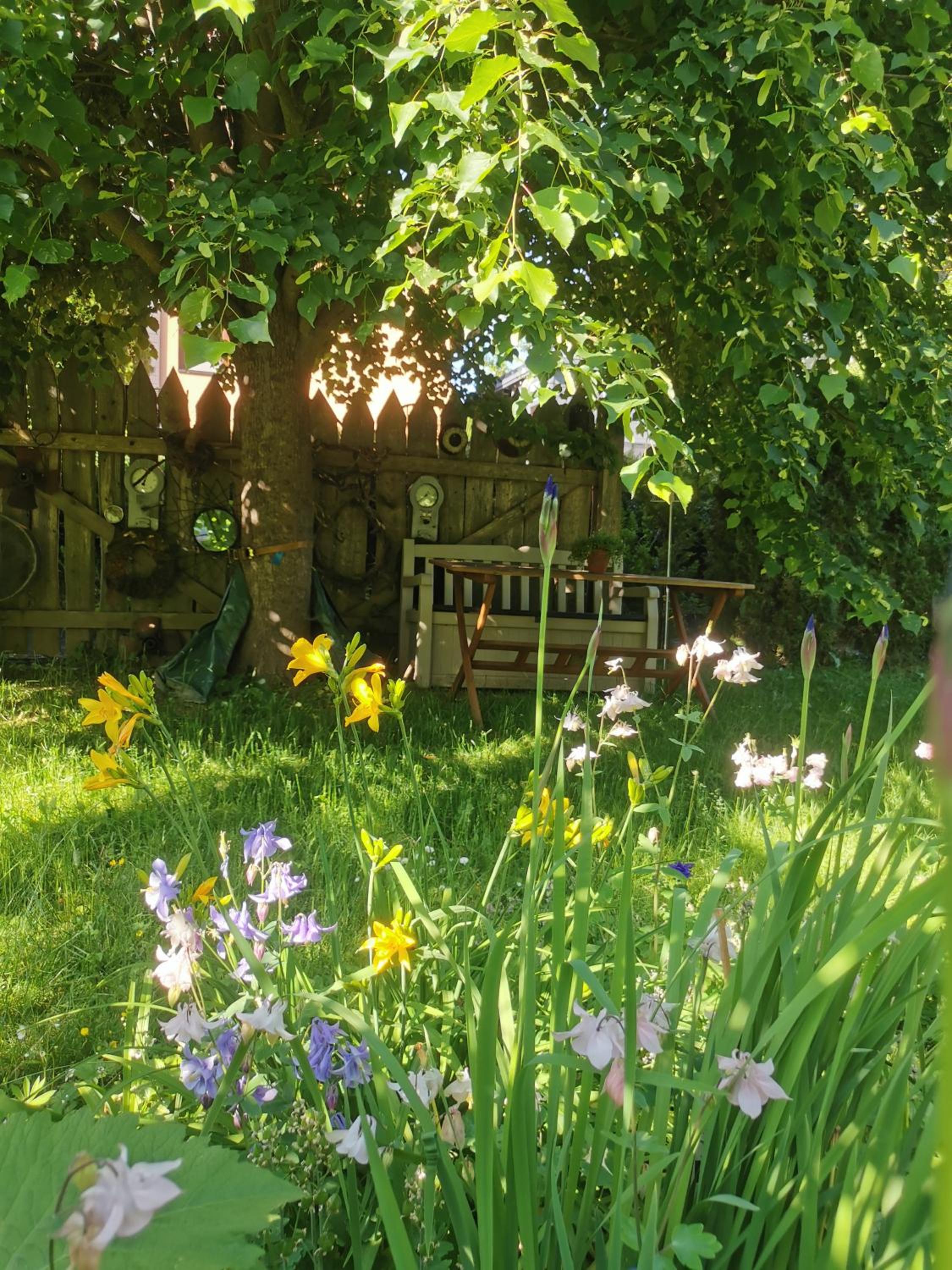 Gartenwohnung Paulsdorf