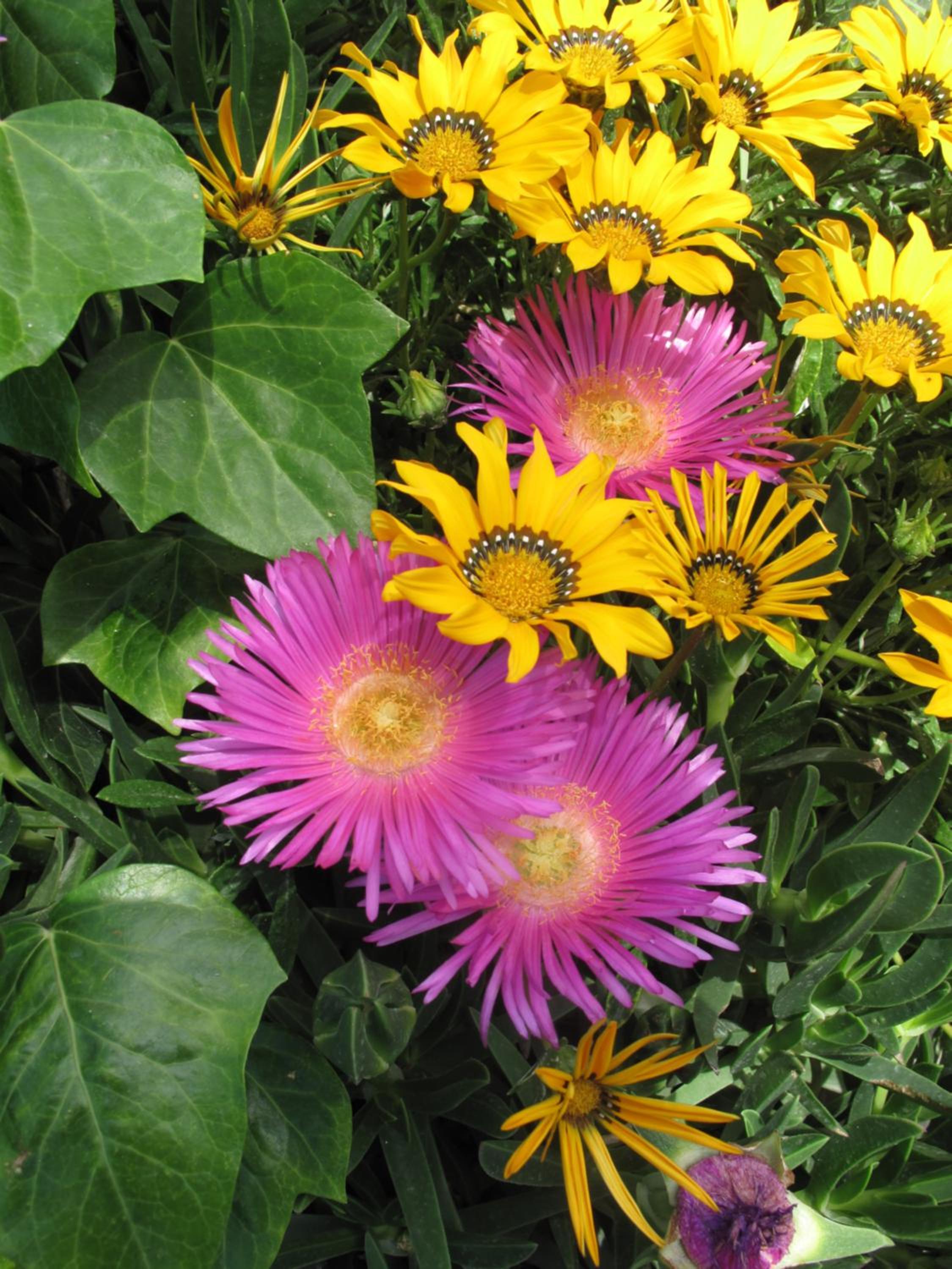 Photo 46