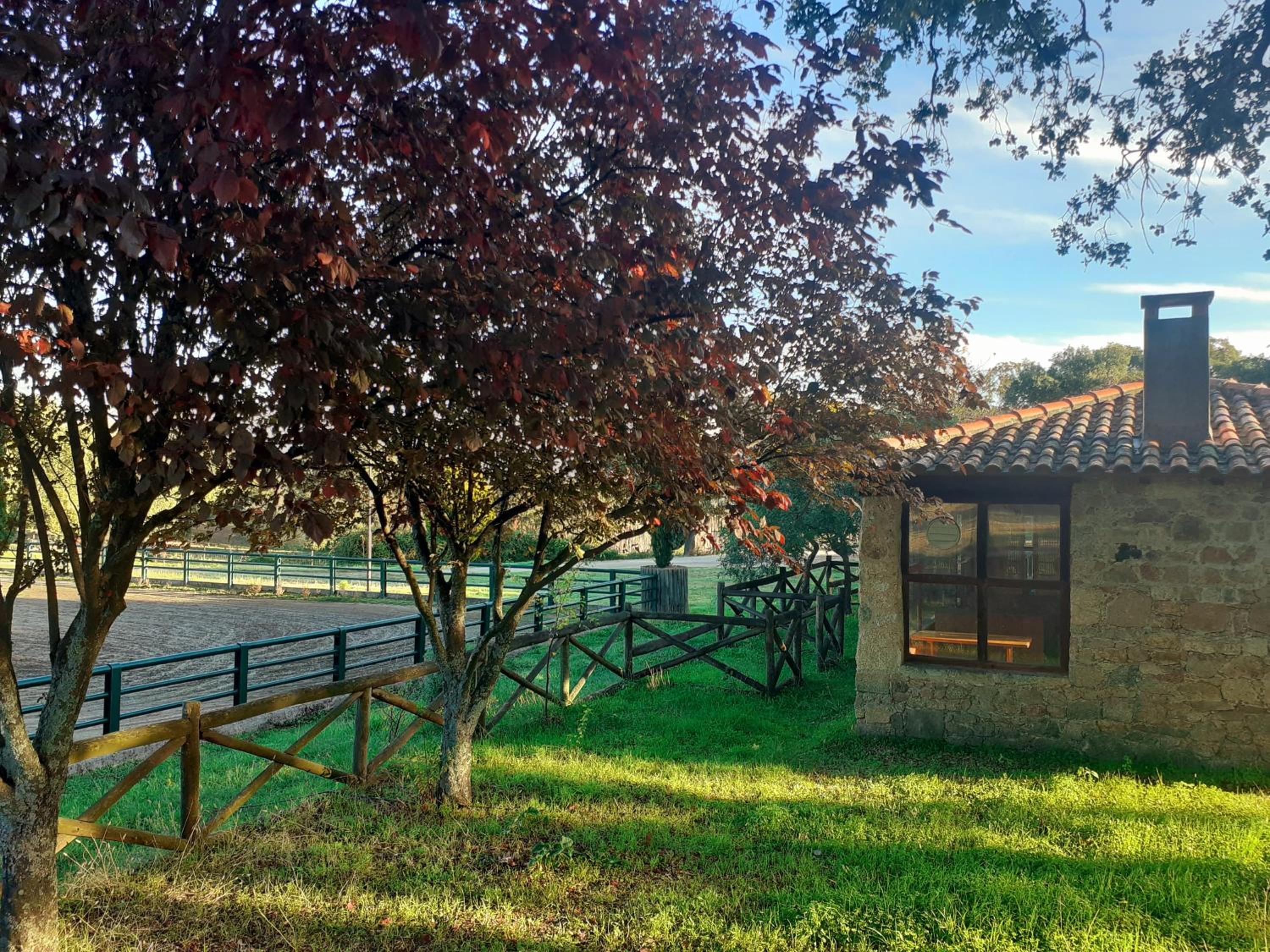 Casa da Vinha