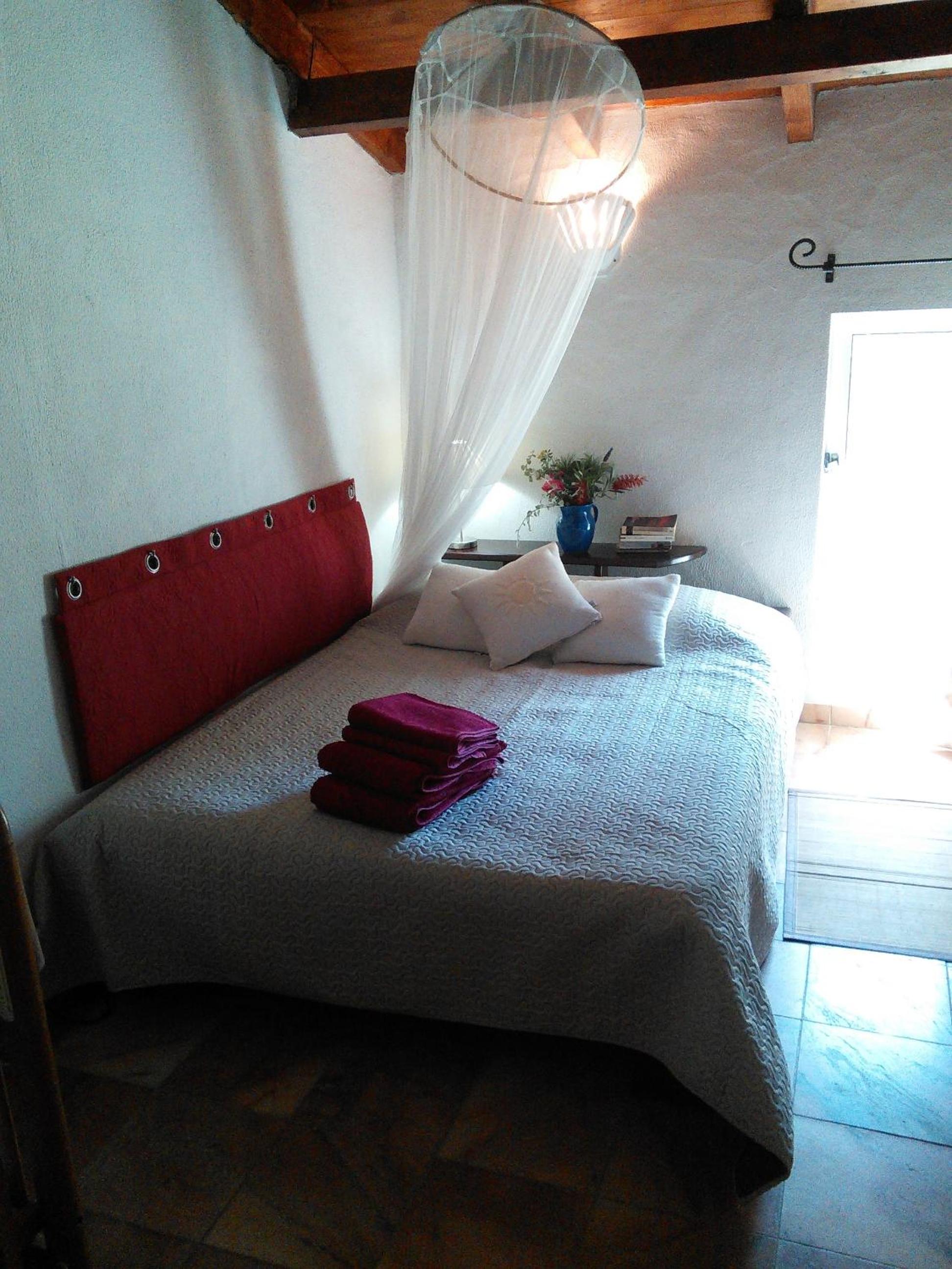Photo 51