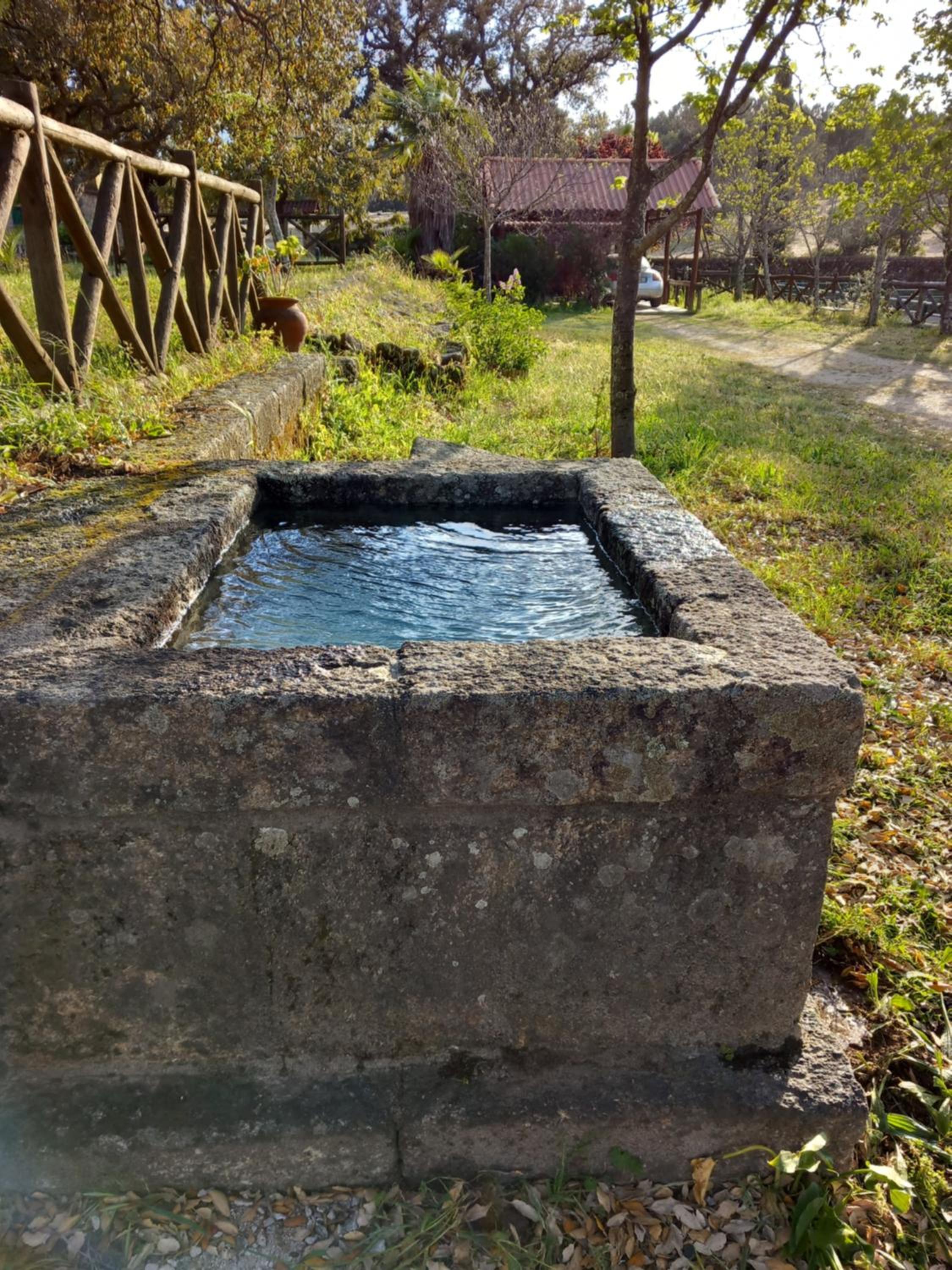 Photo 48