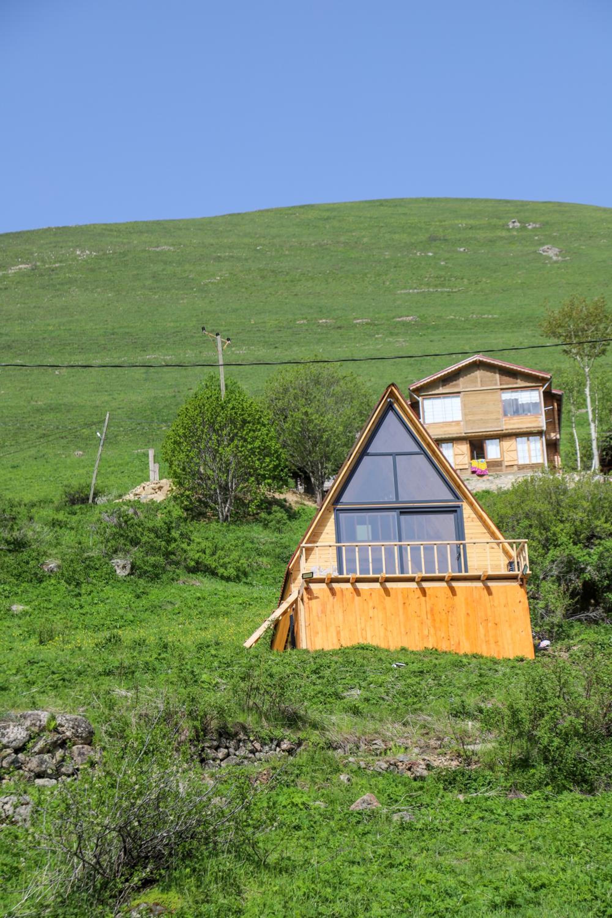 halduzendagevi