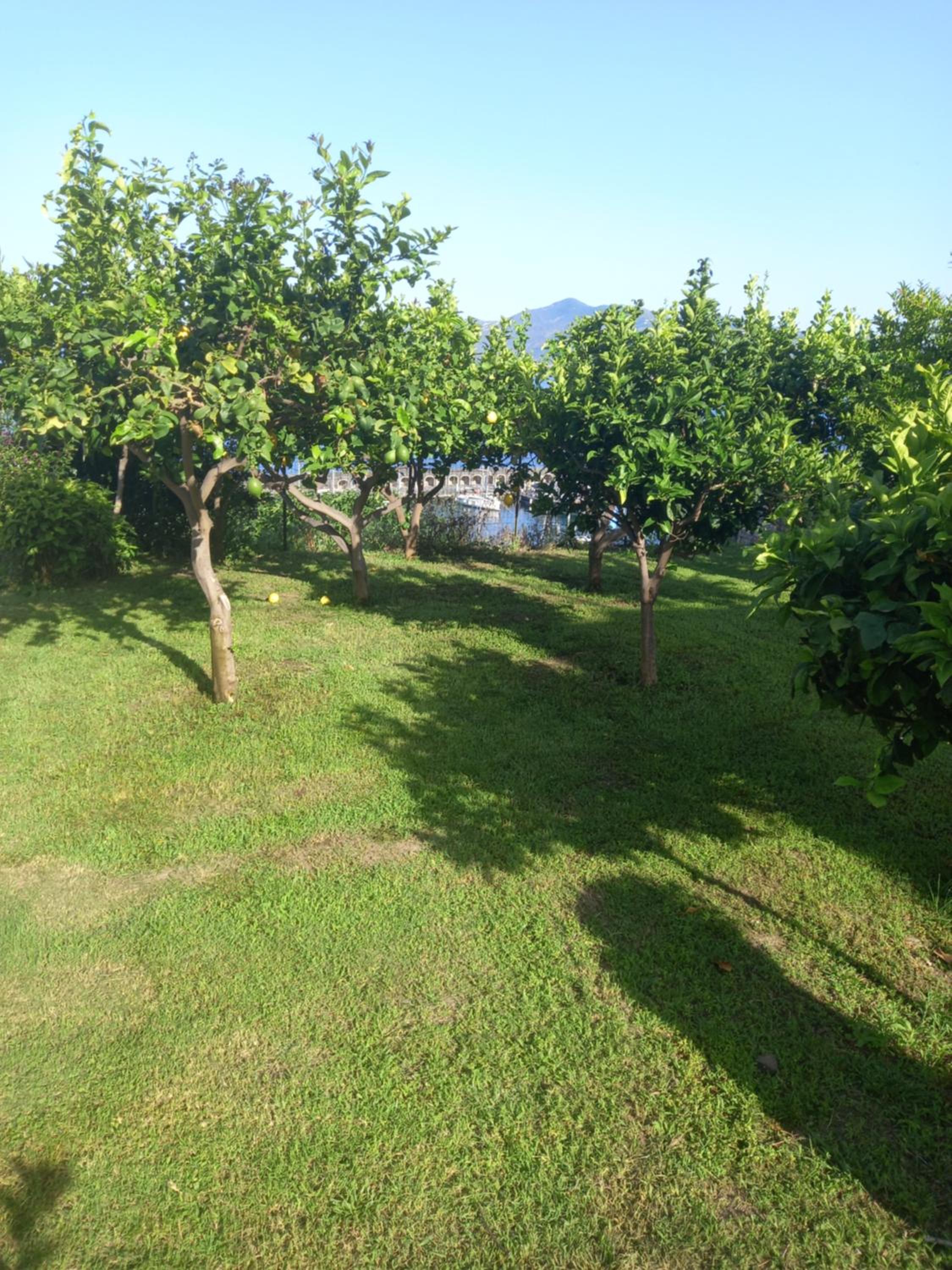 Photo 34