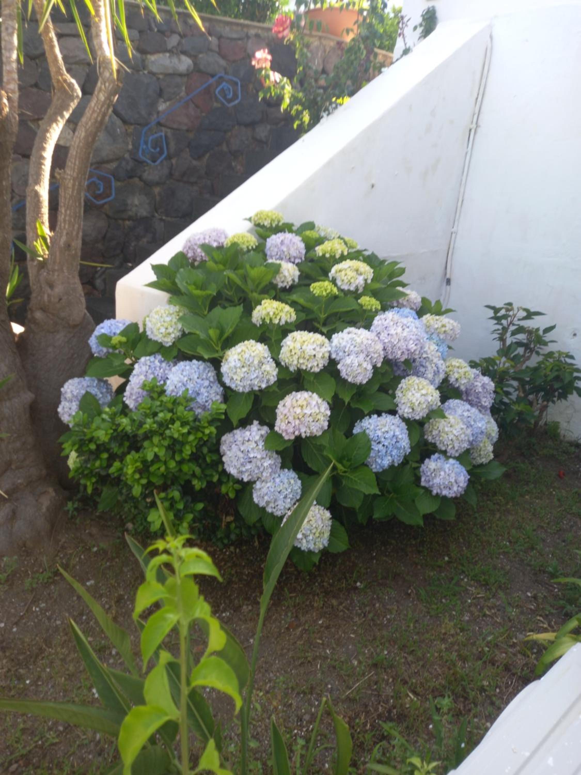 Photo 36