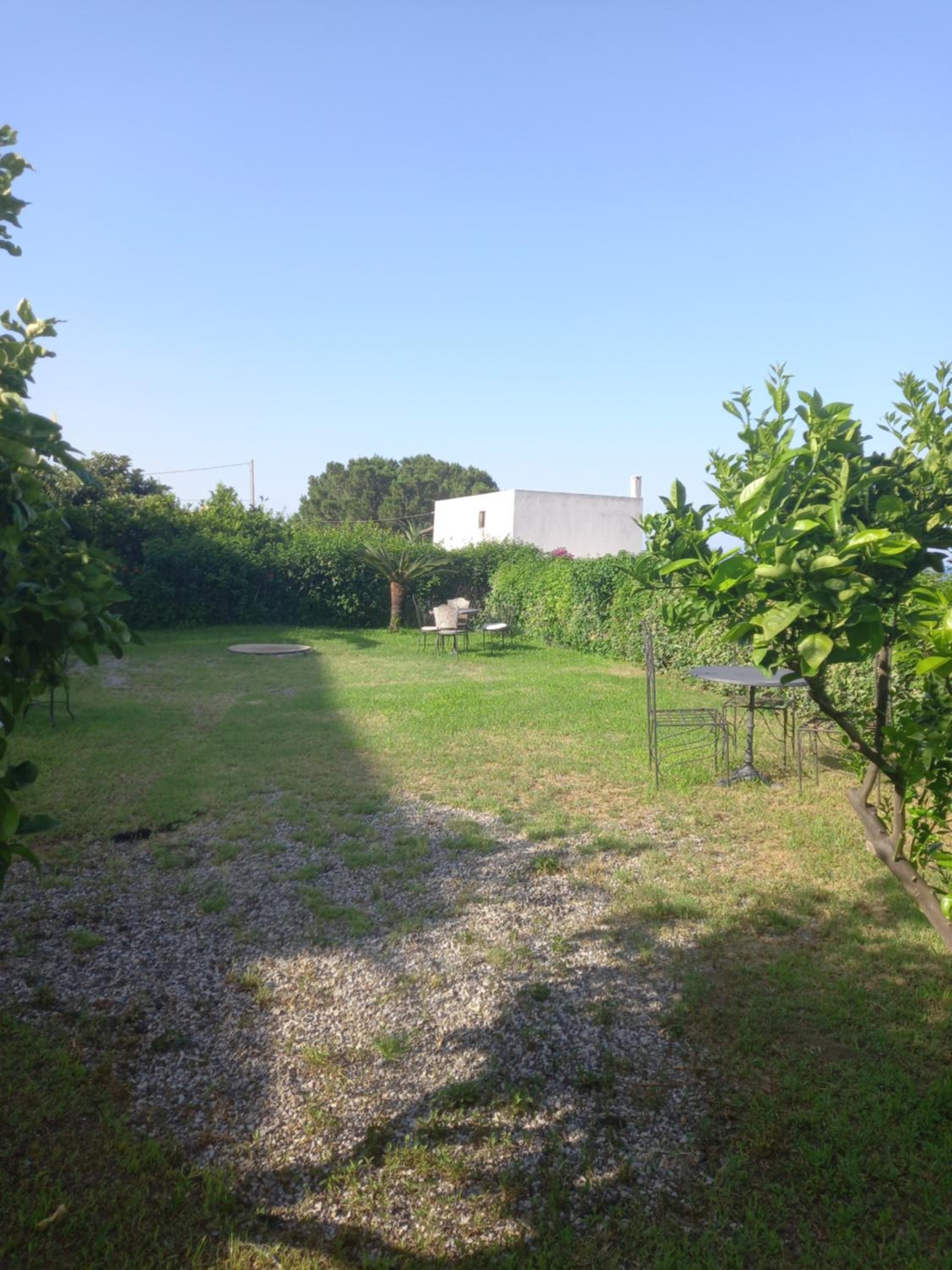 Photo 35
