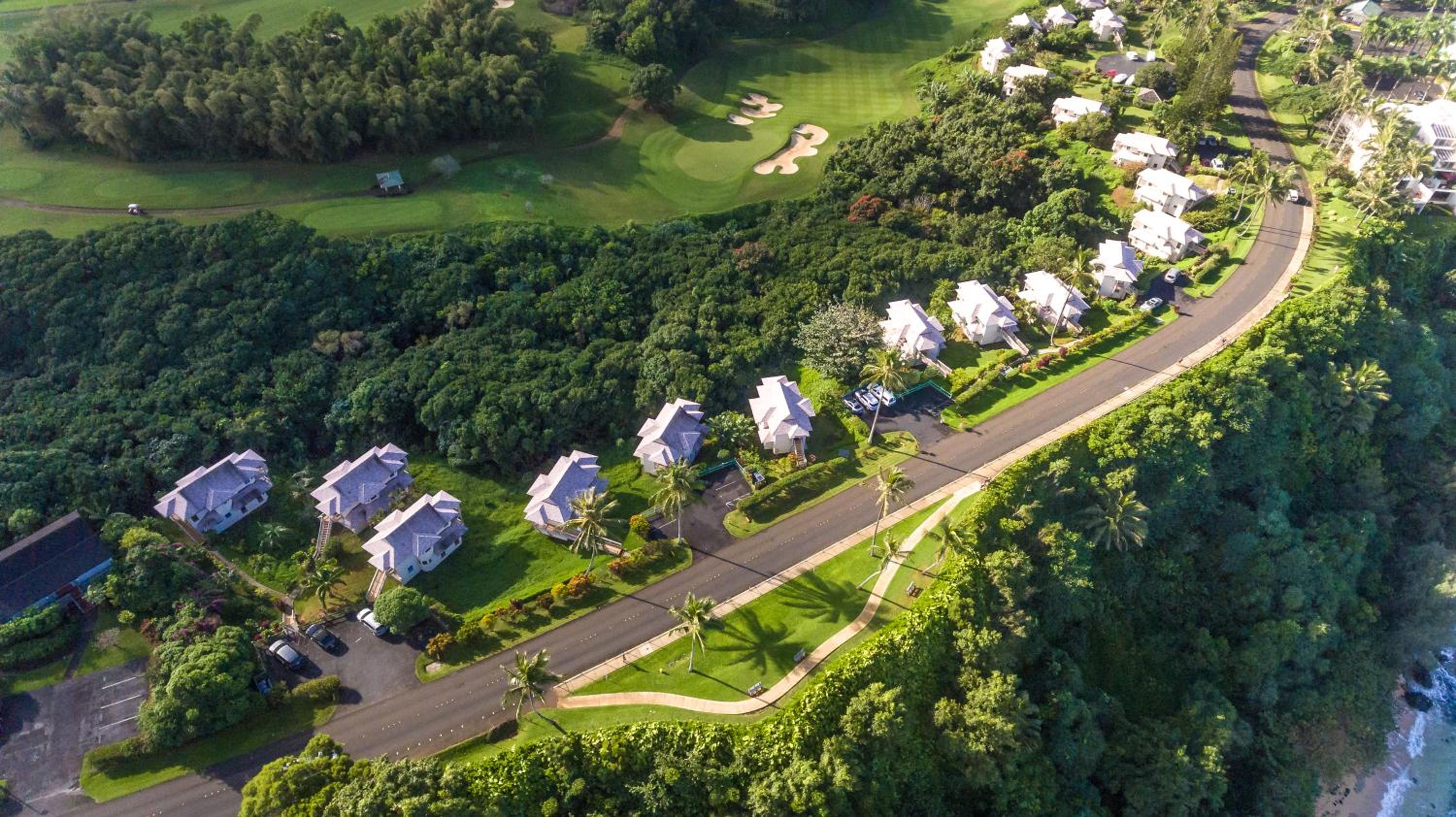 Hanalei Bay Villa Cottage 2Br 2Ba with Mountain Views HBV24 view 3