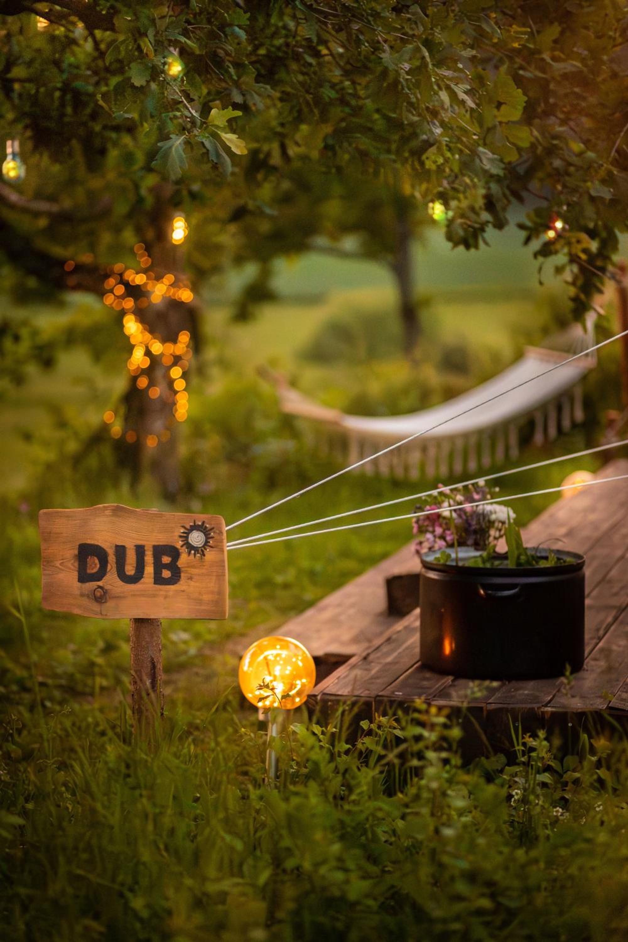 Glamping Hive