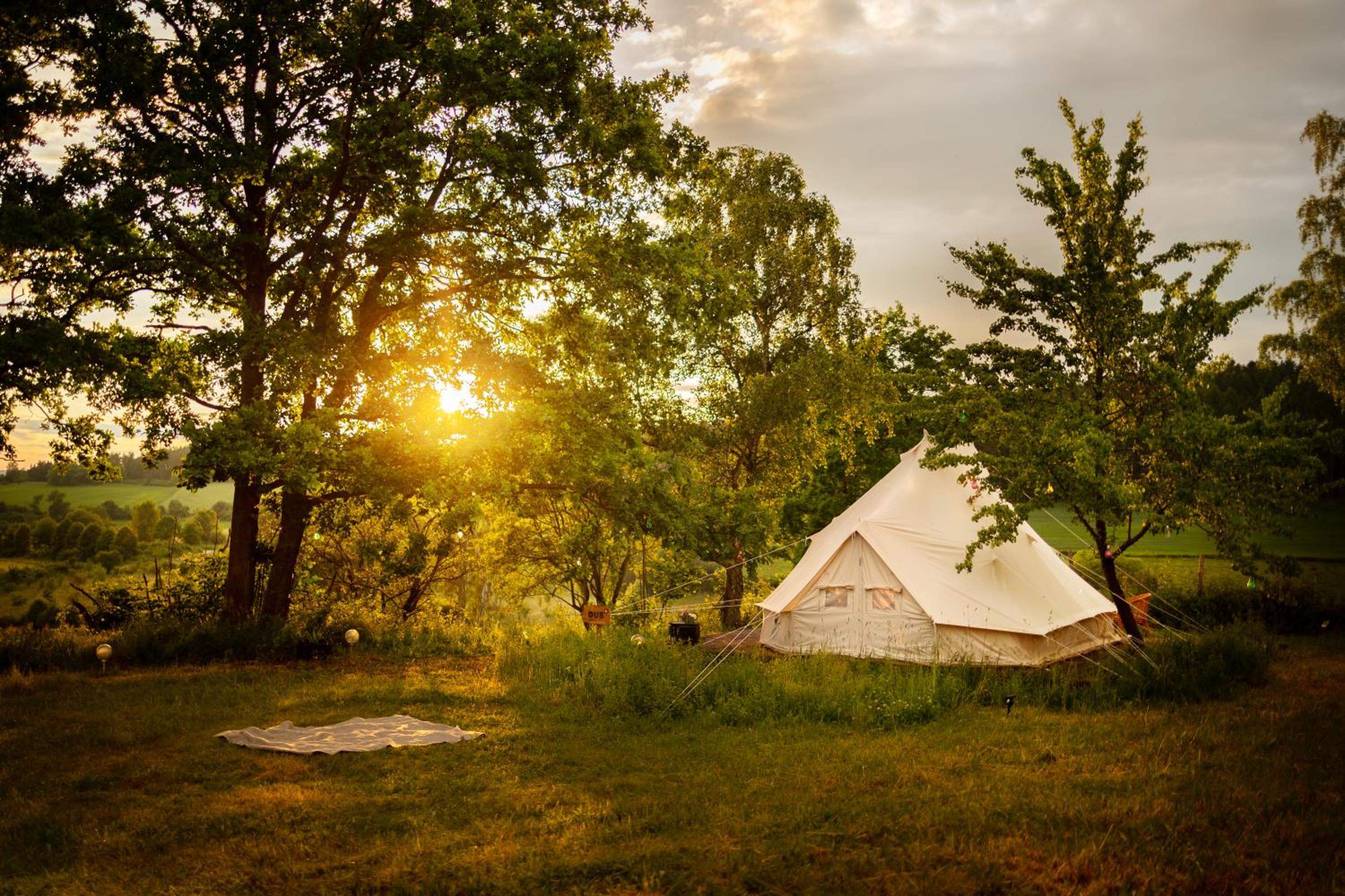 Glamping Hive