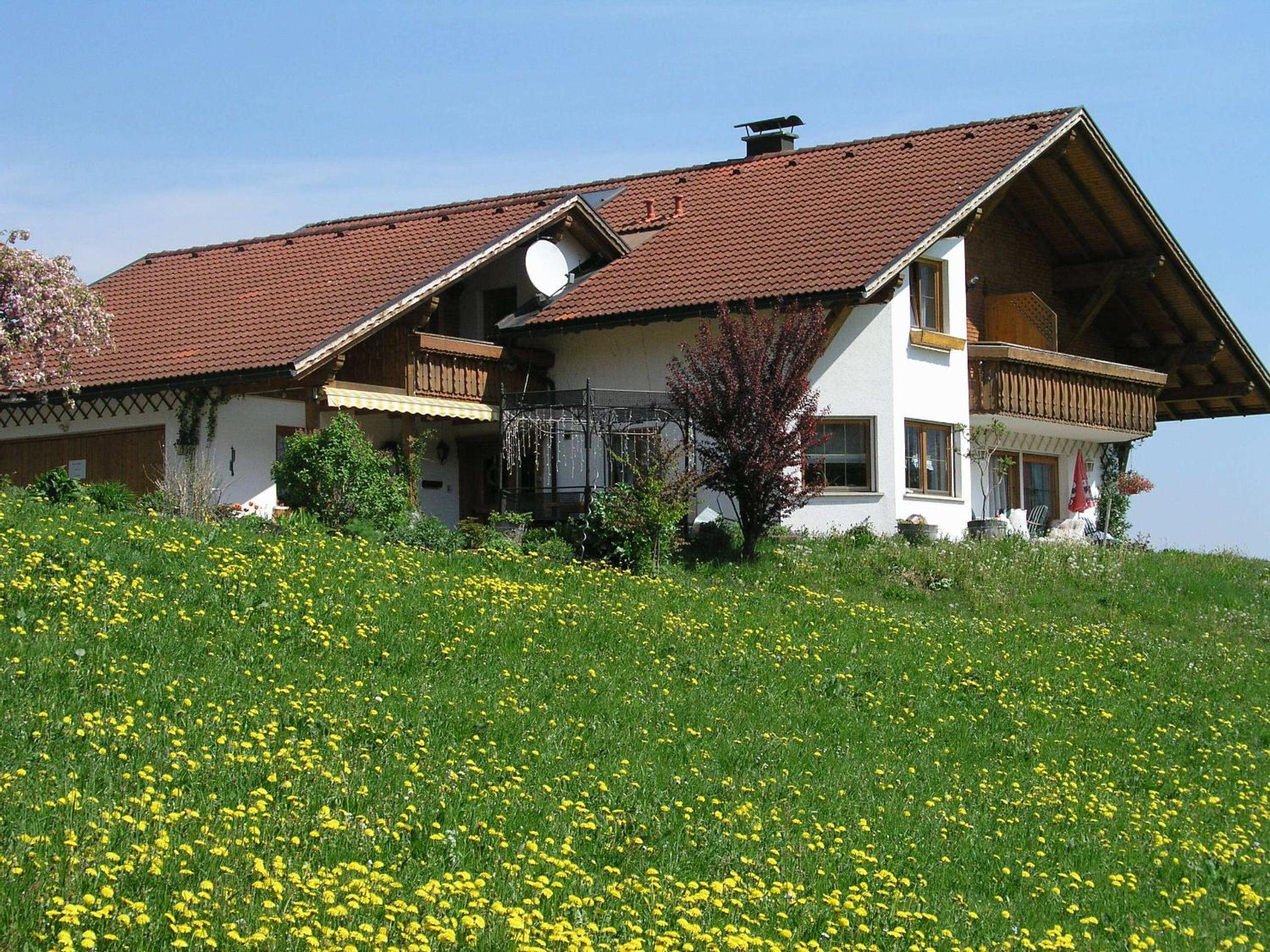 Photo 45