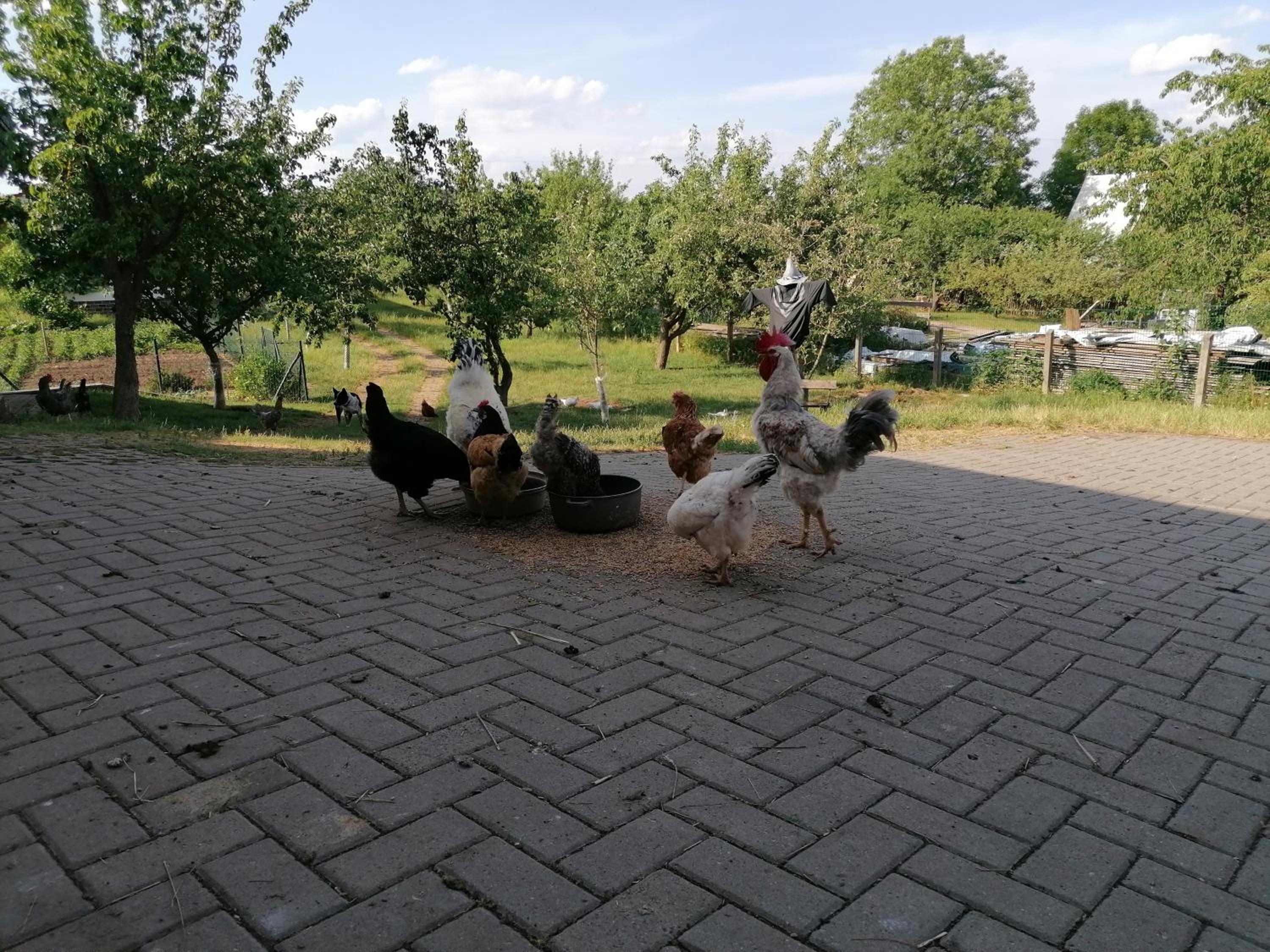Ferienhaus Putzke