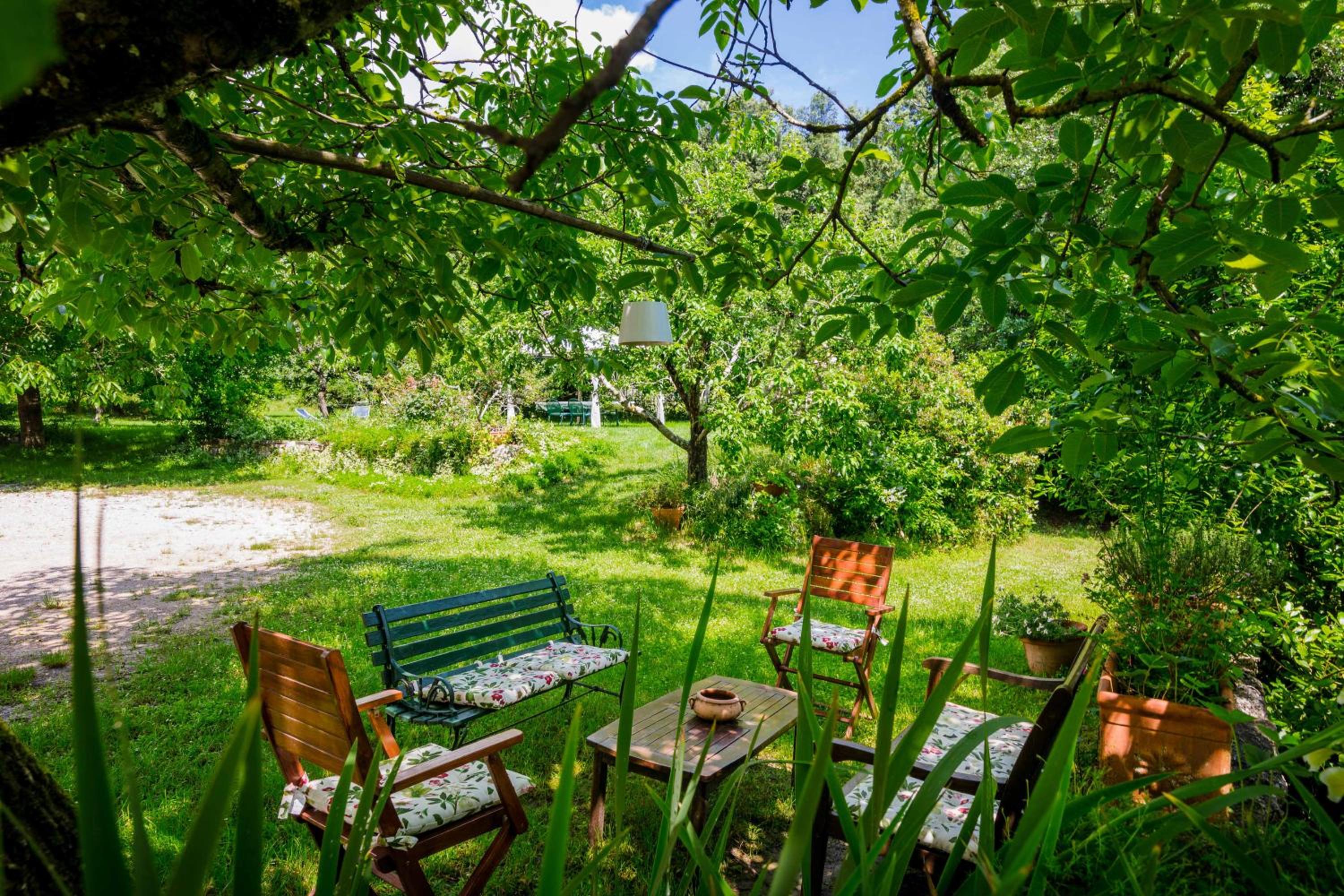 Photo 67