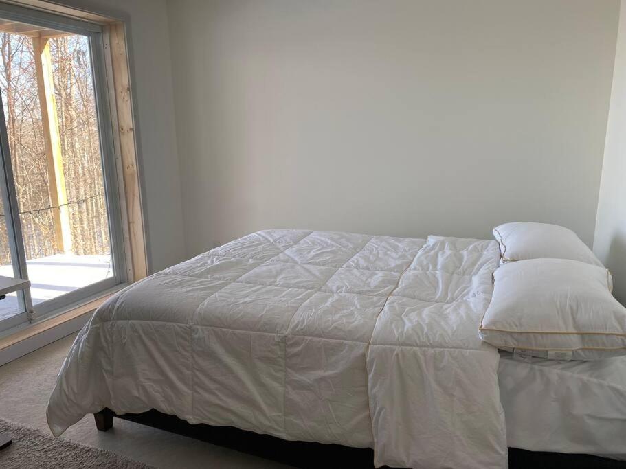Chalet avec Spa Baskatong
