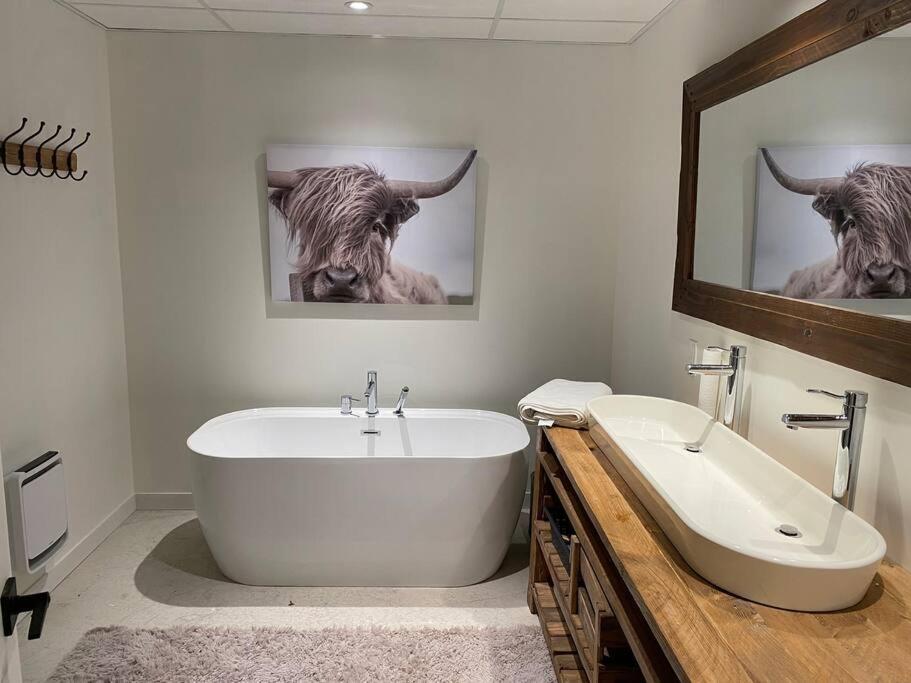 Chalet avec Spa Baskatong