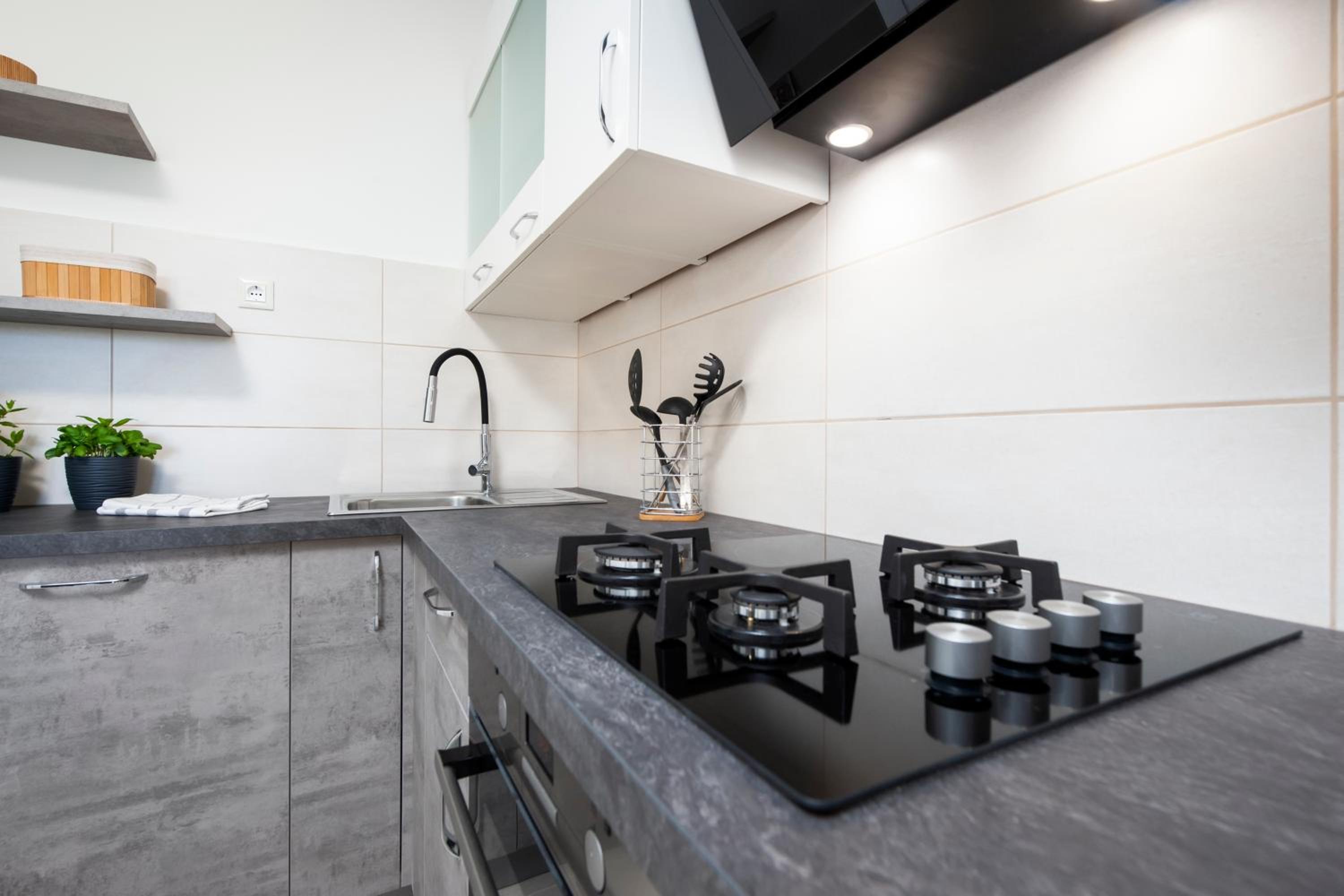 Apartment Rosa