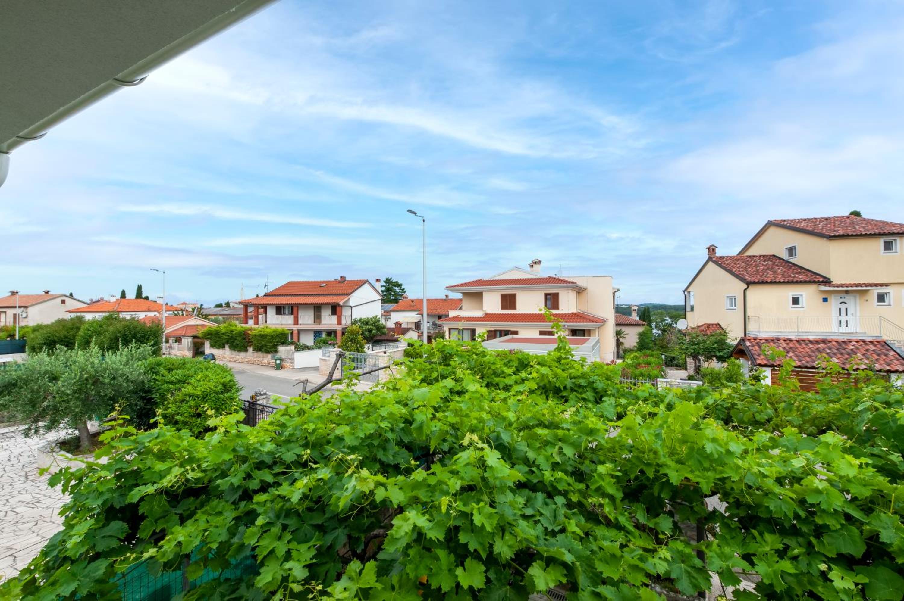 Apartment Rosa