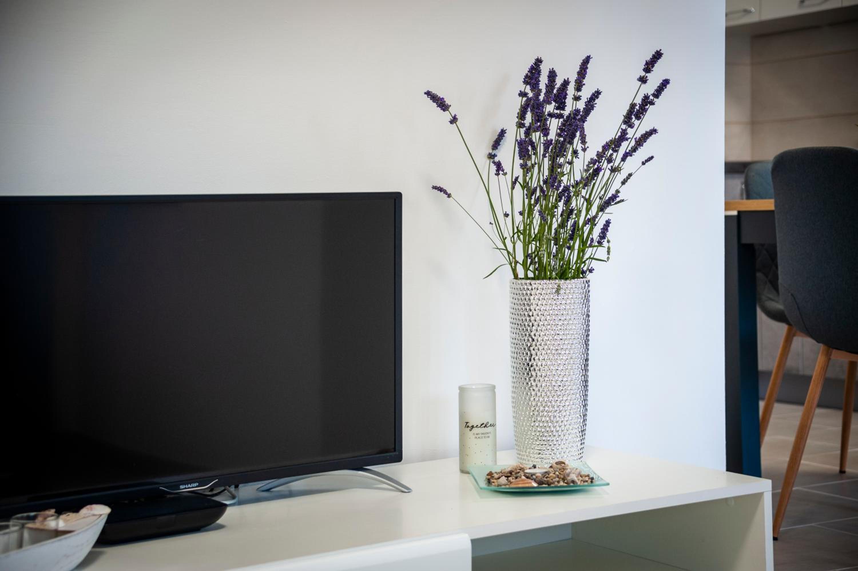 Apartment Rosa