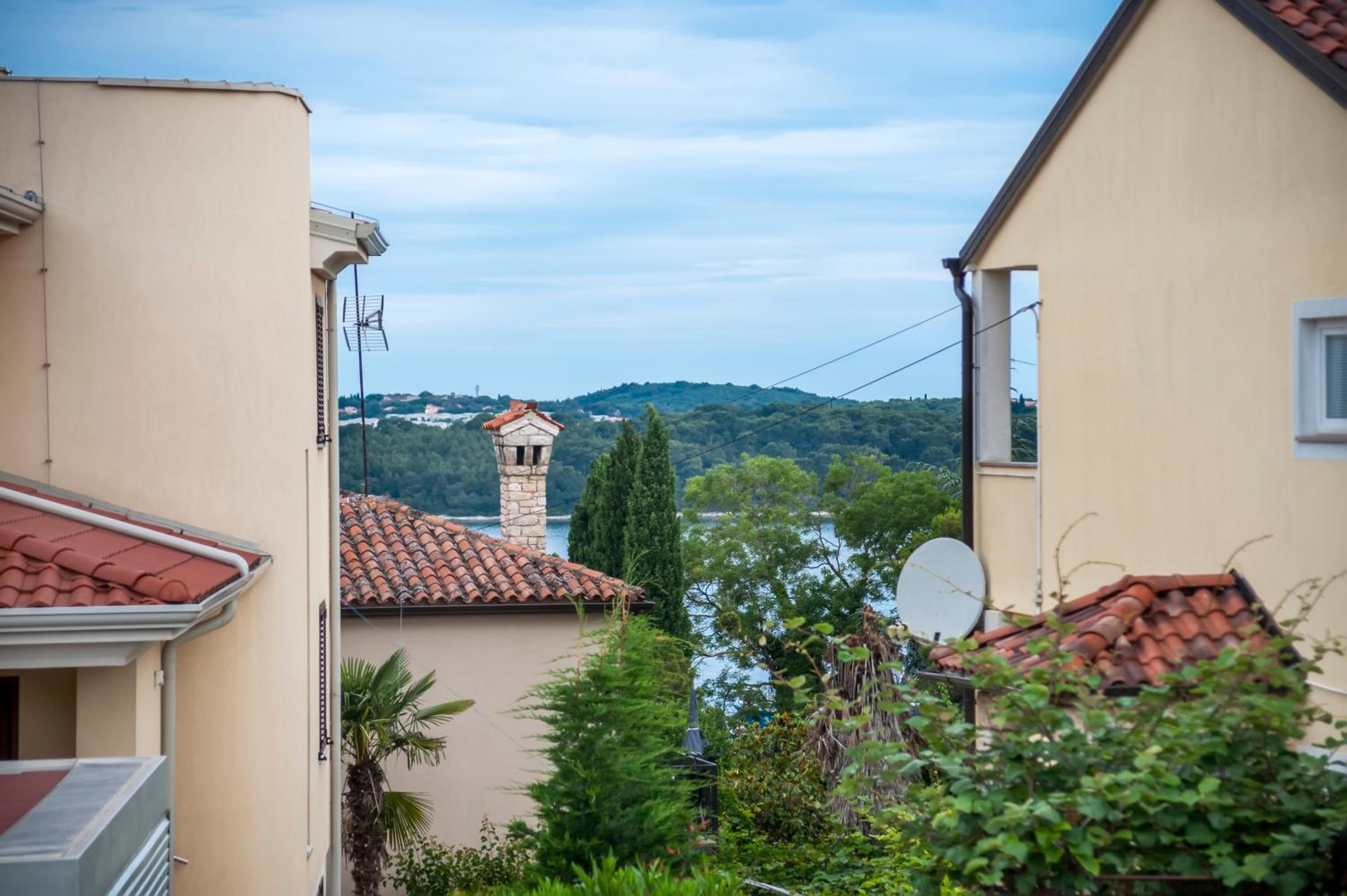 Apartment Rosa