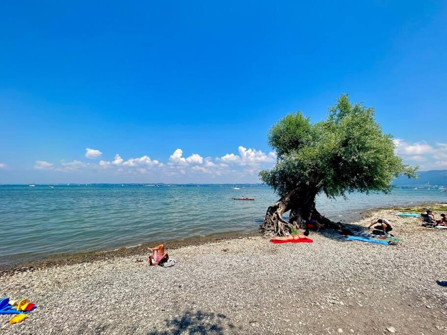 Seeparkvilla – Wohlfühlen am See und im Grünen