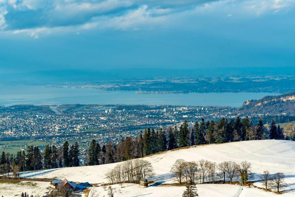 Seeparkvilla – Wohlfühlen am See und im Grünen