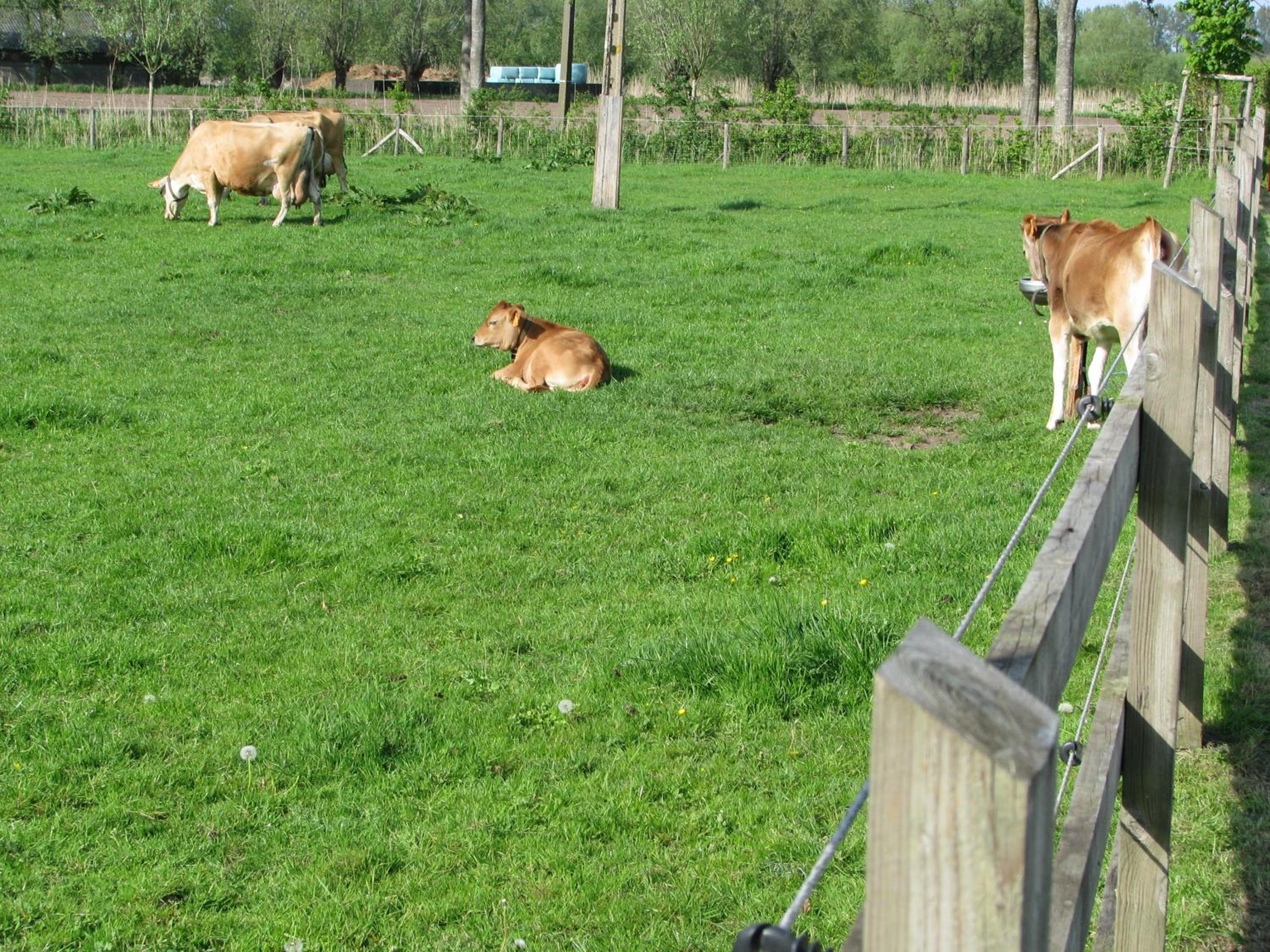 B&B Le Plat Pays Oostkamp-Brugge