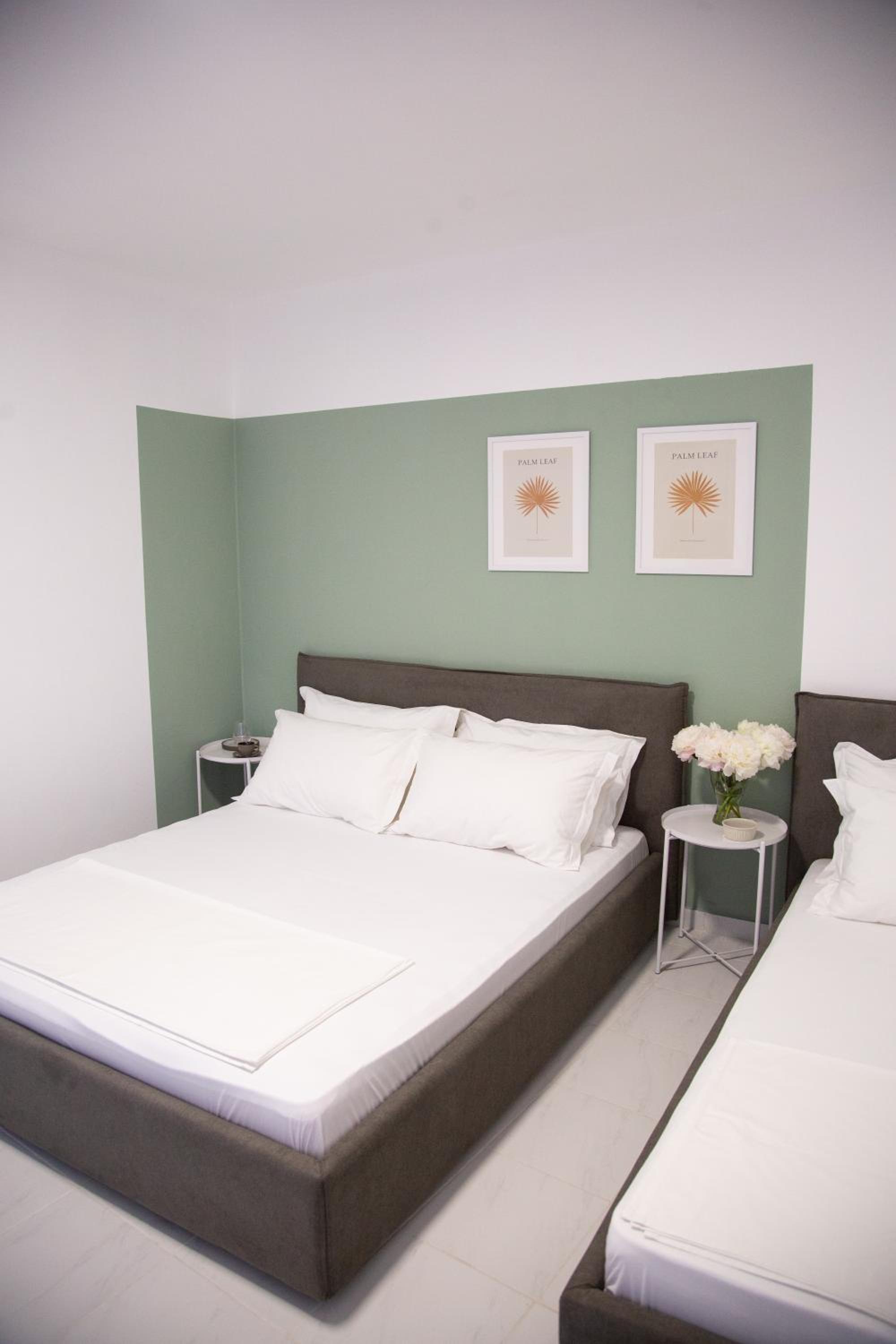Lulu Suites - Olive