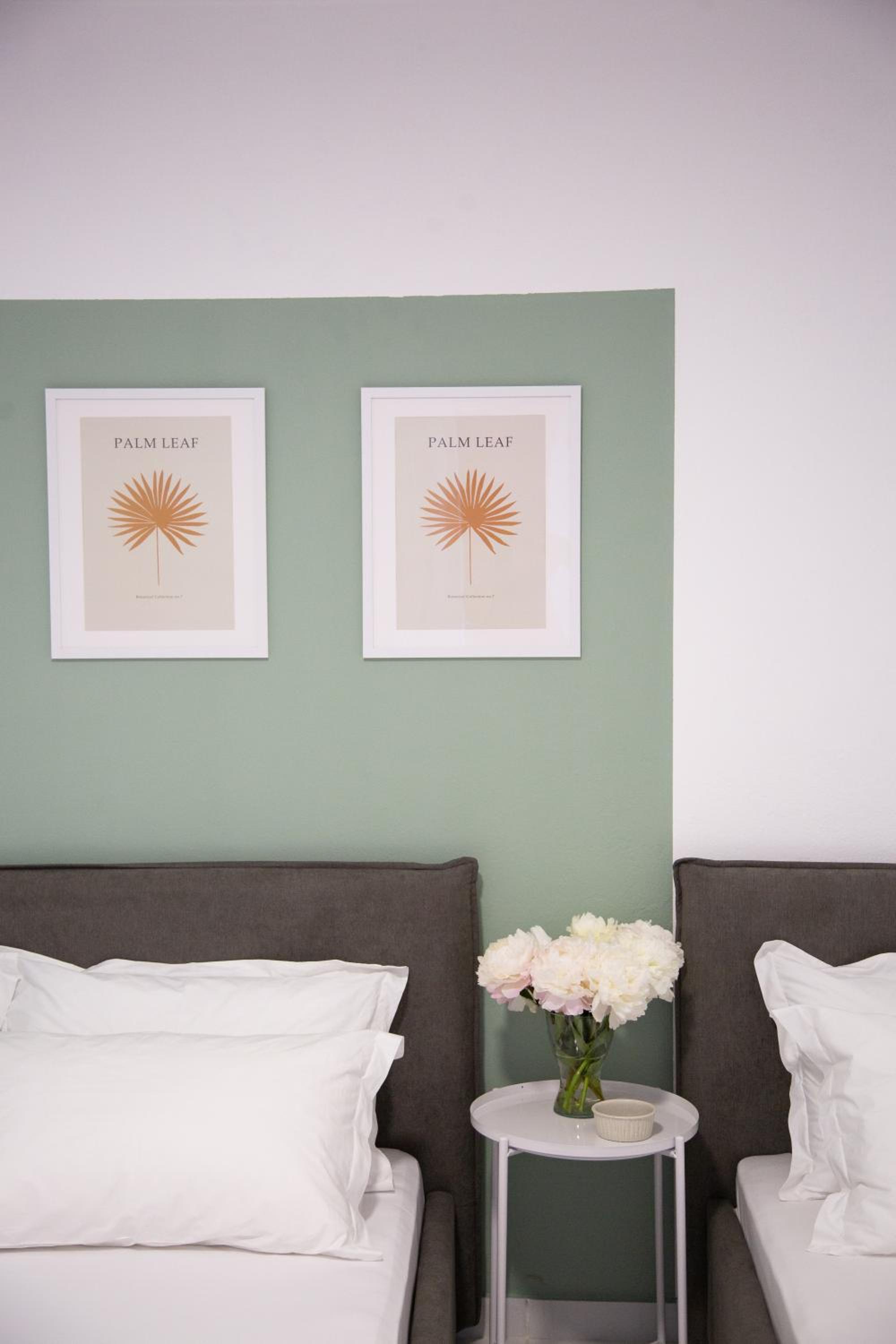 Lulu Suites - Olive
