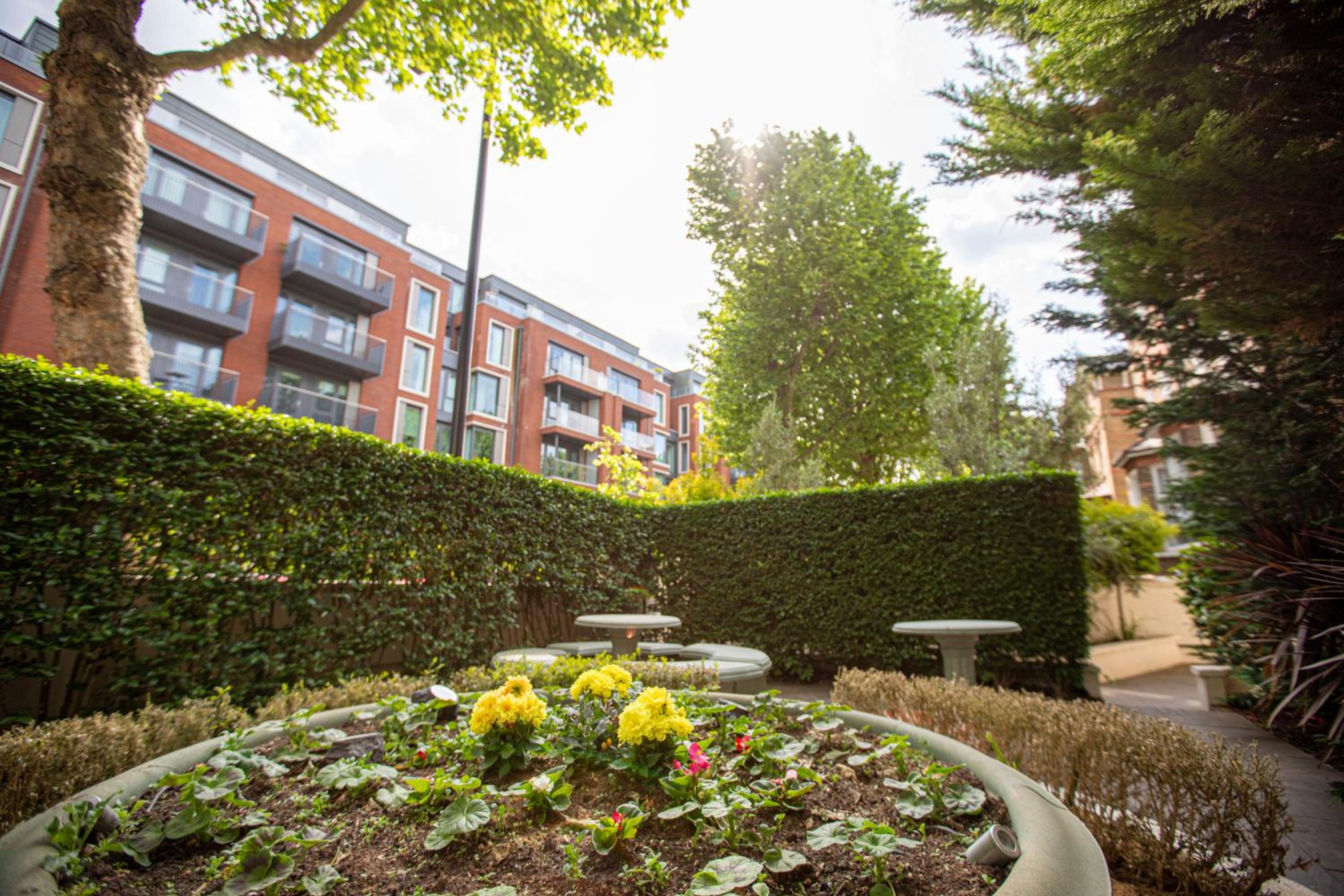 garden