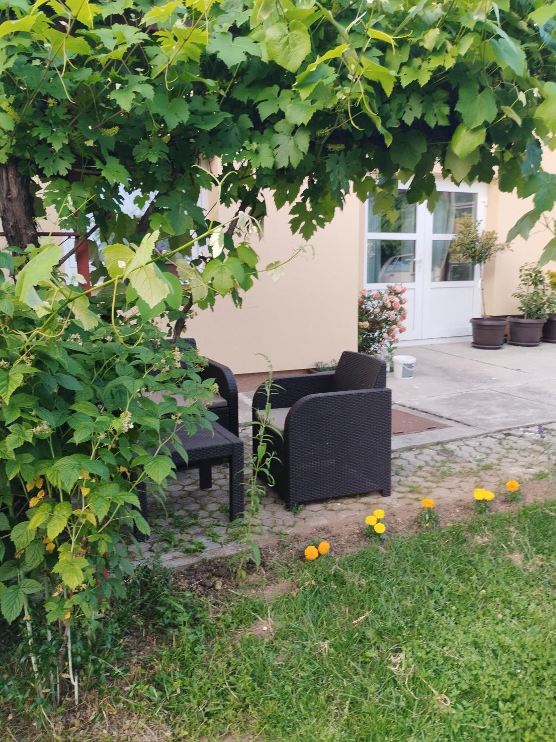 Photo 24