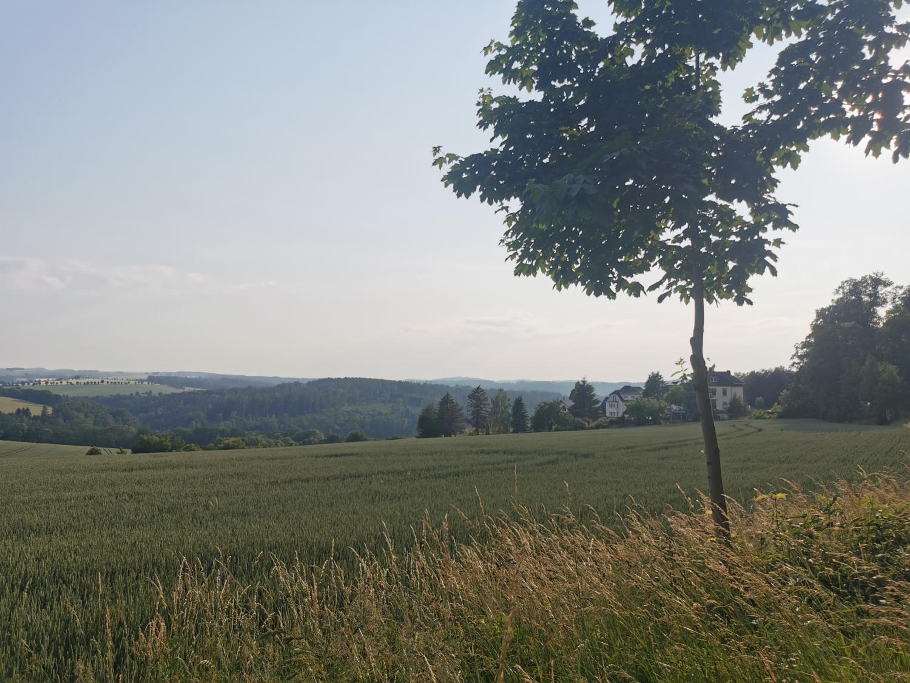 Gartenwohnung Paulsdorf