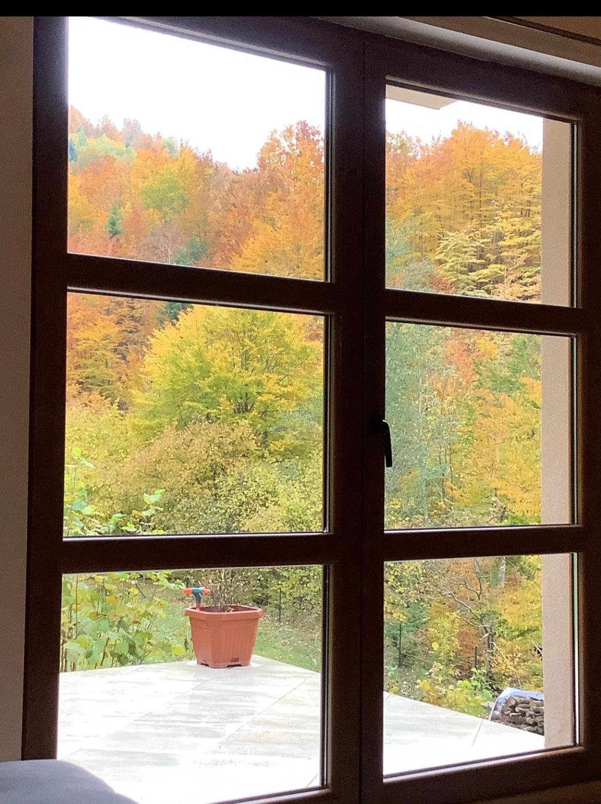 VESNA HOUSE view 4