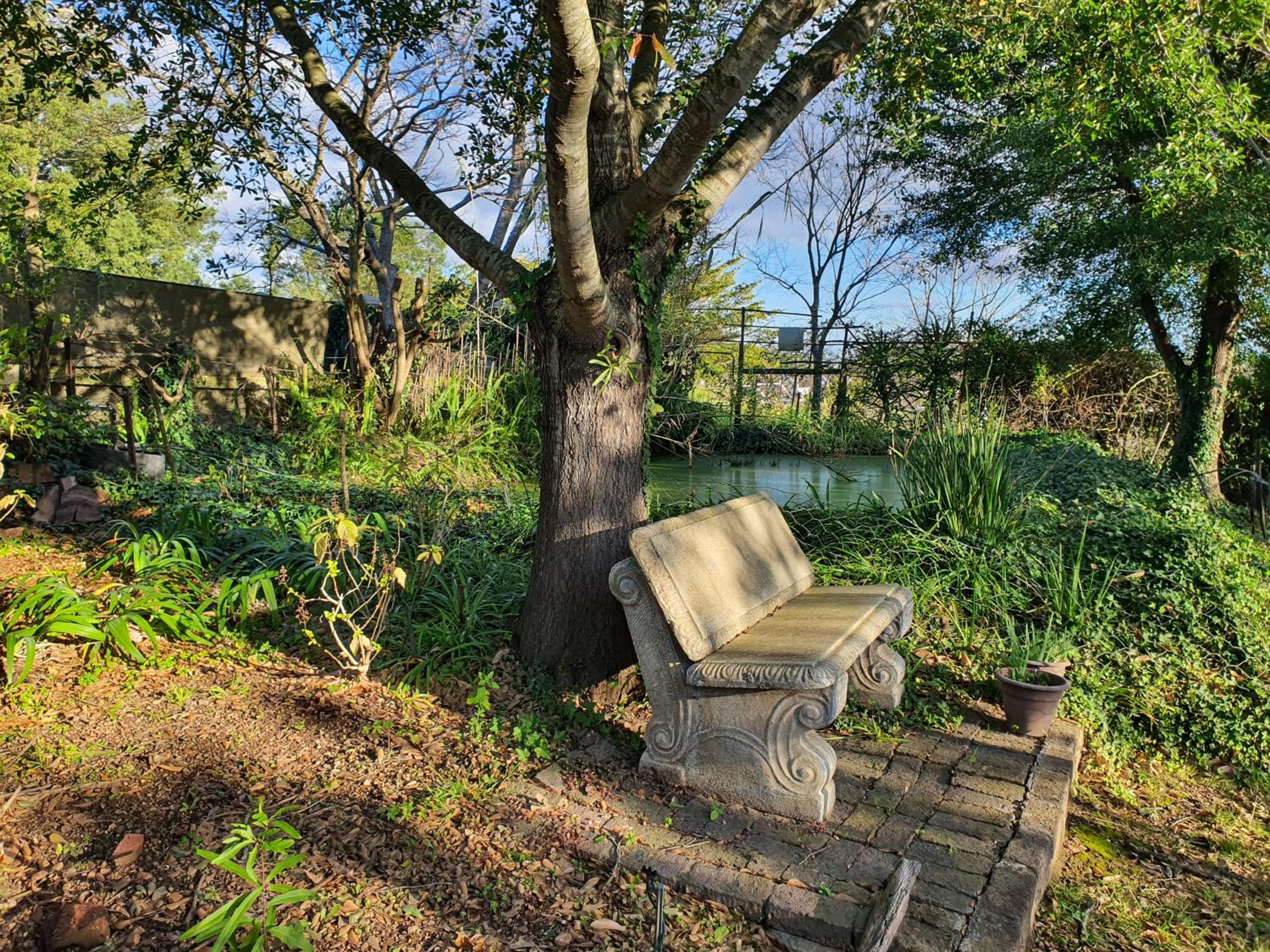 Photo 20