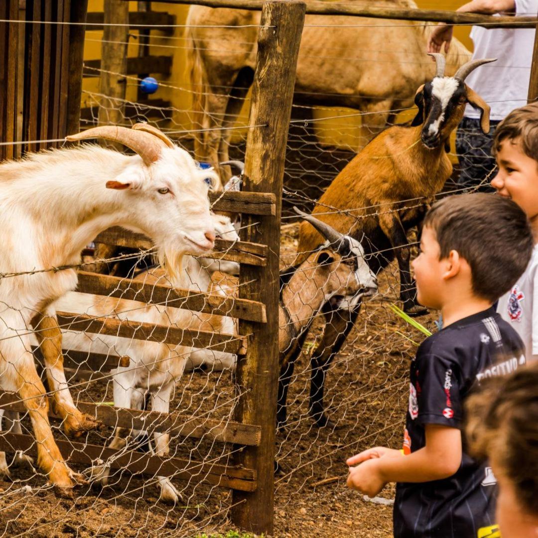 Santana's Ranch