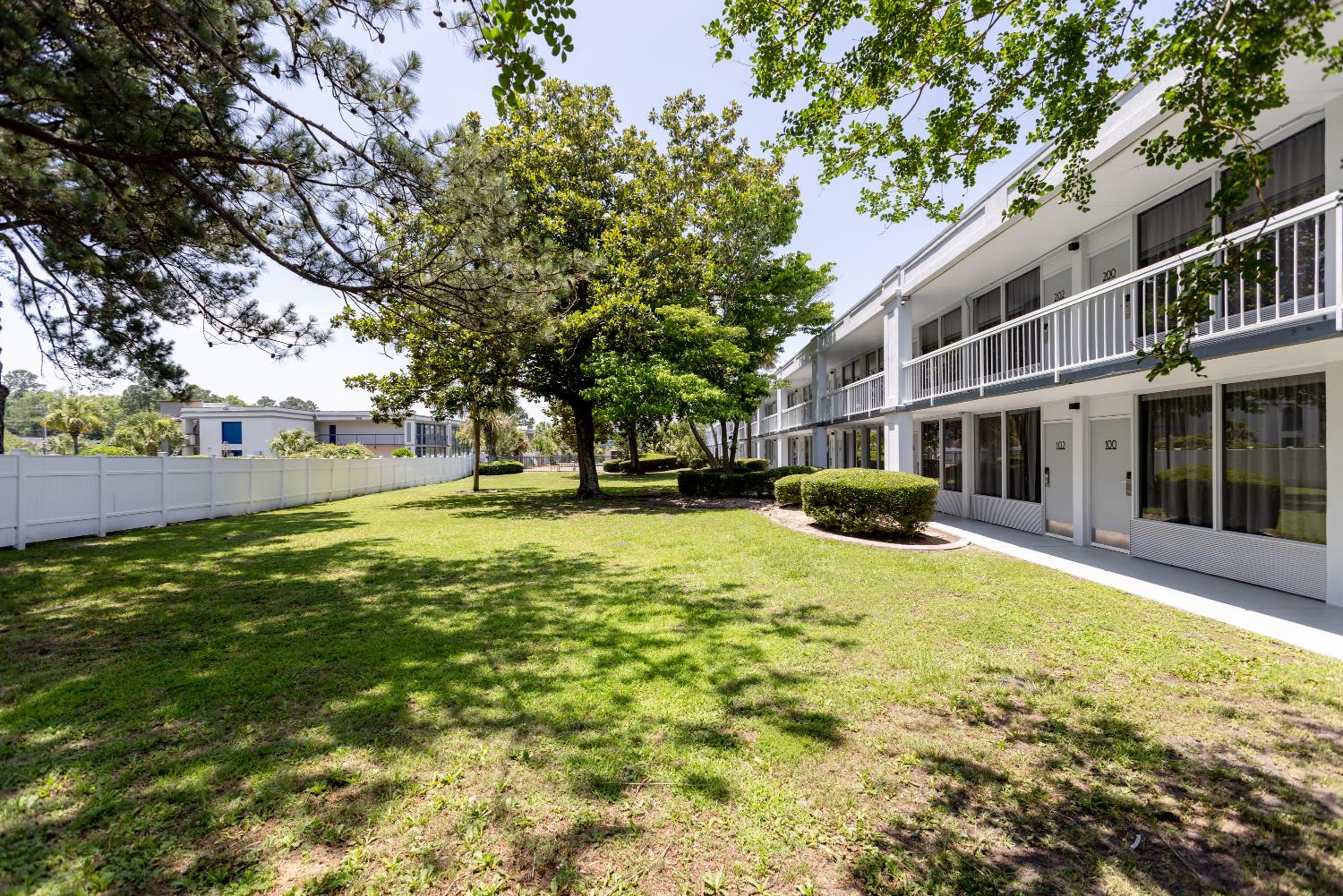 Oneway Savannah, Φωτογραφία 9