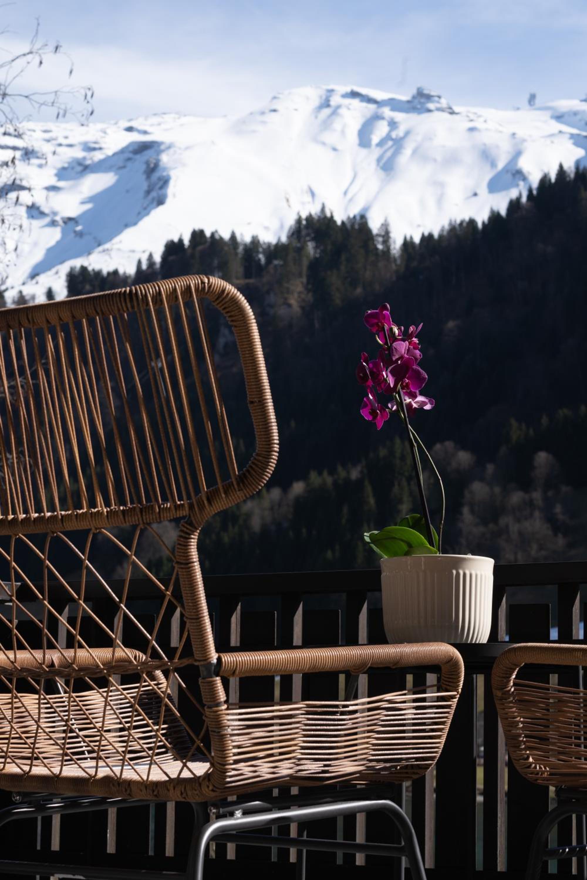 Chalet Casita