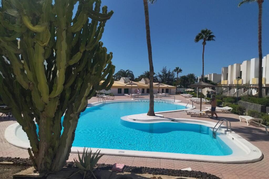Pool & Wellness