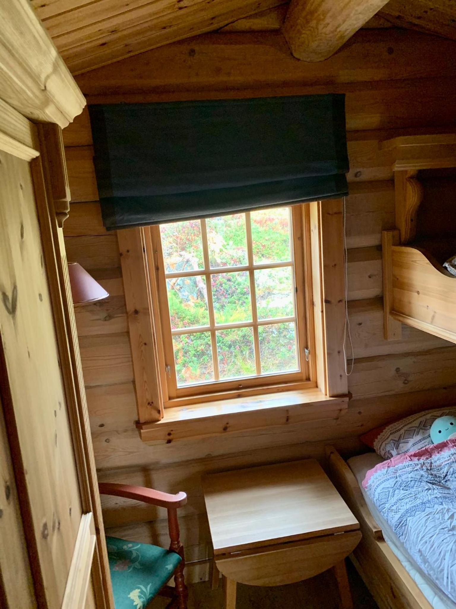 Timber Lodge in Uvdal Skisenter VIEW/WIFI view 3