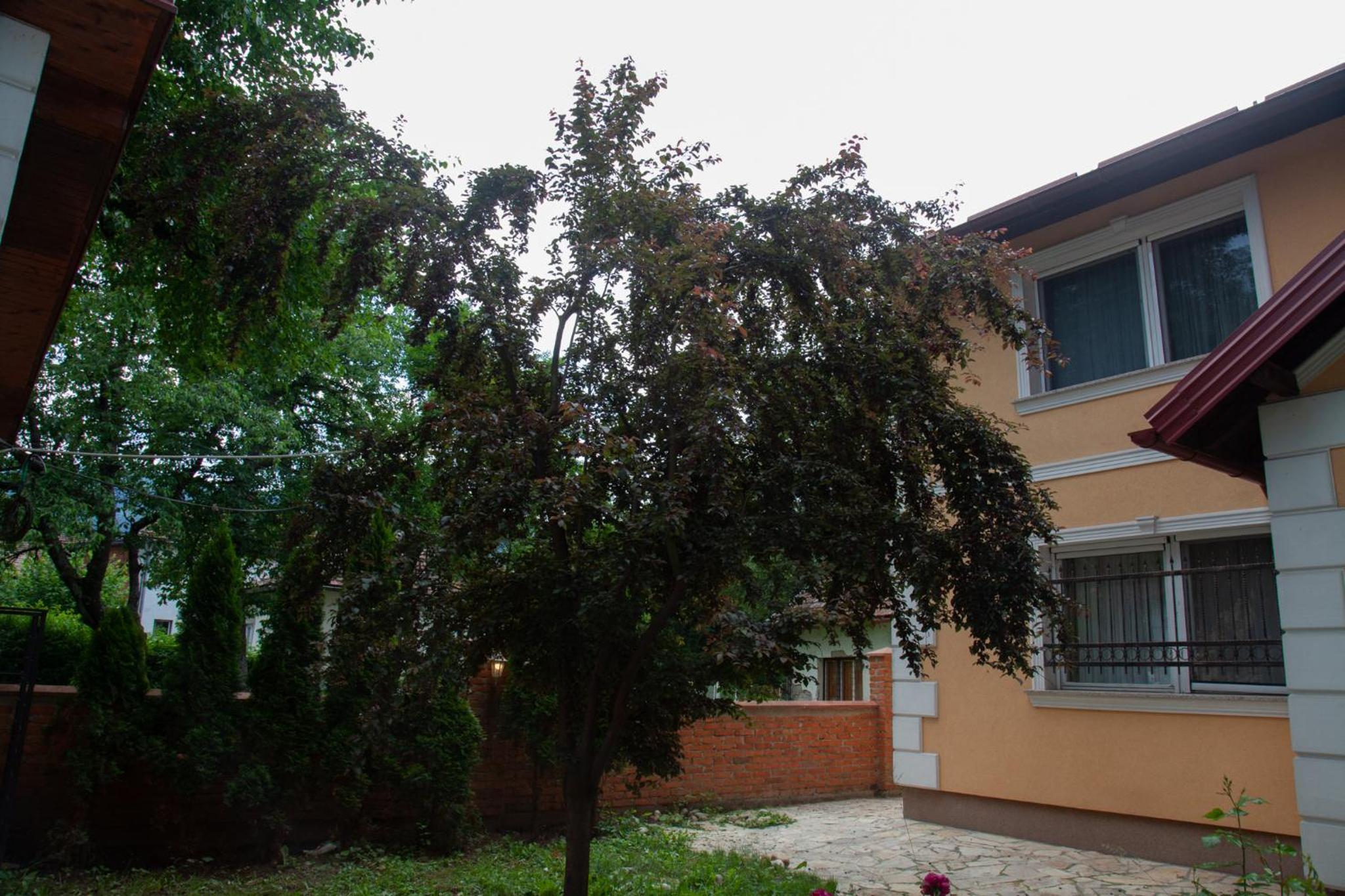 Vila Omar