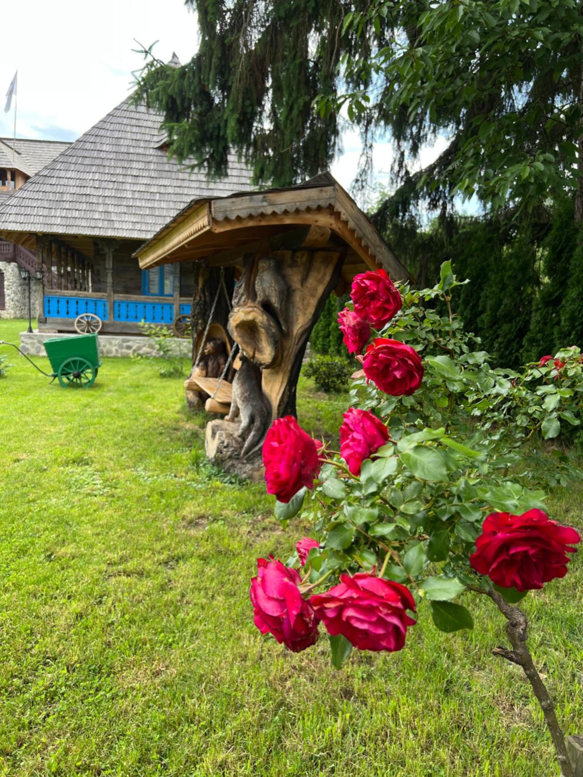 La Patru Daci