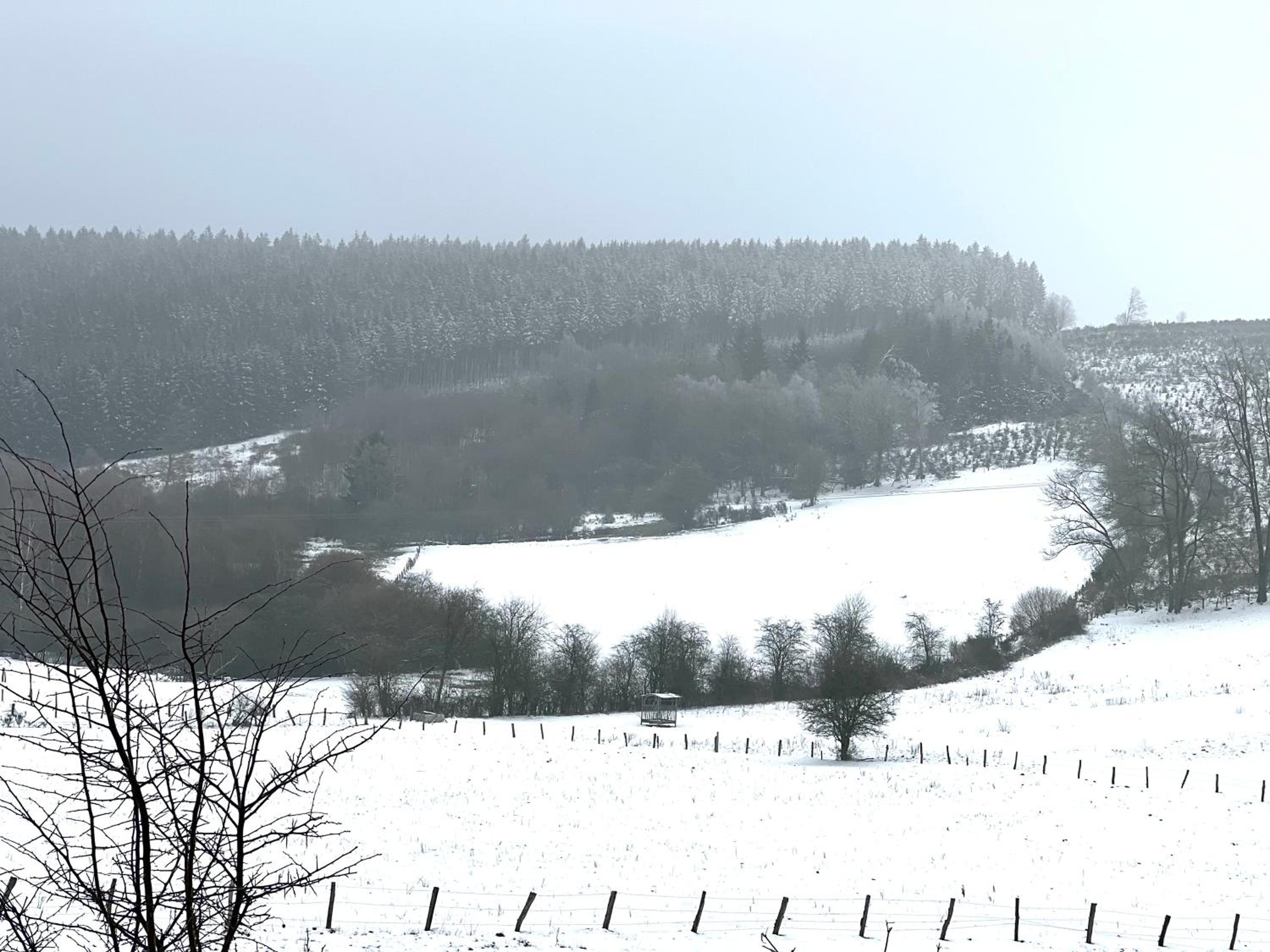 ChaletKrekelherberg