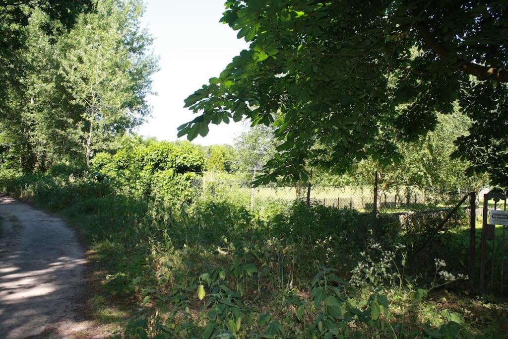 Photo 23