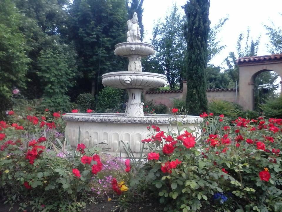 Photo 81