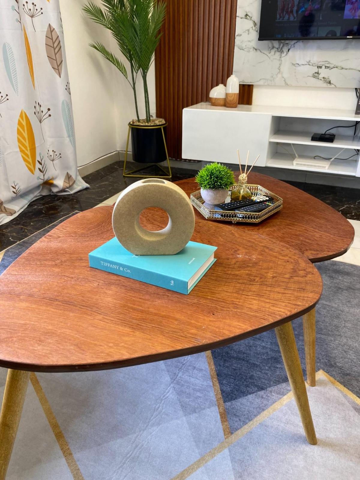 Appartement luxueux au cœur de la ville