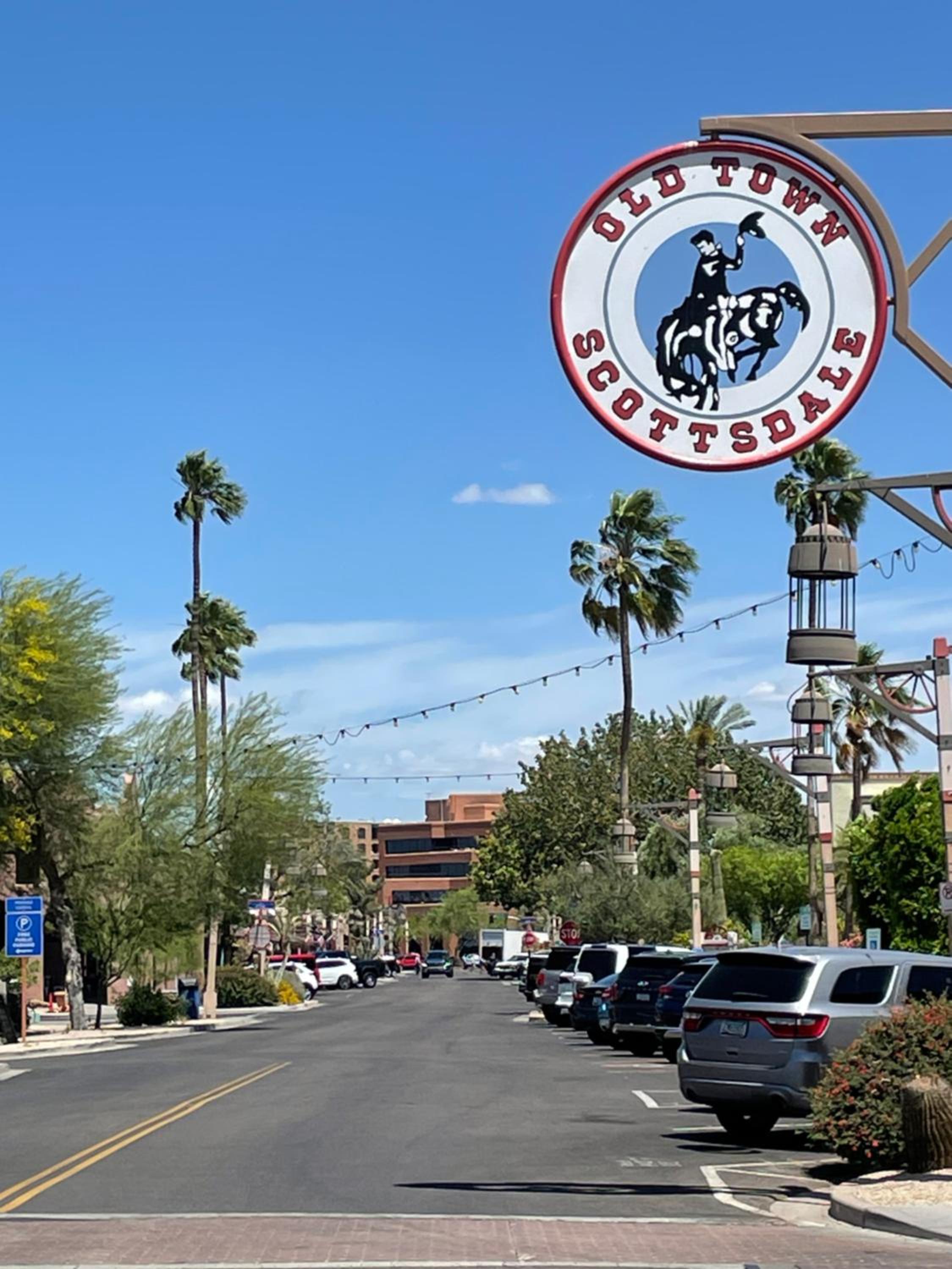 Desert Palms Hangout