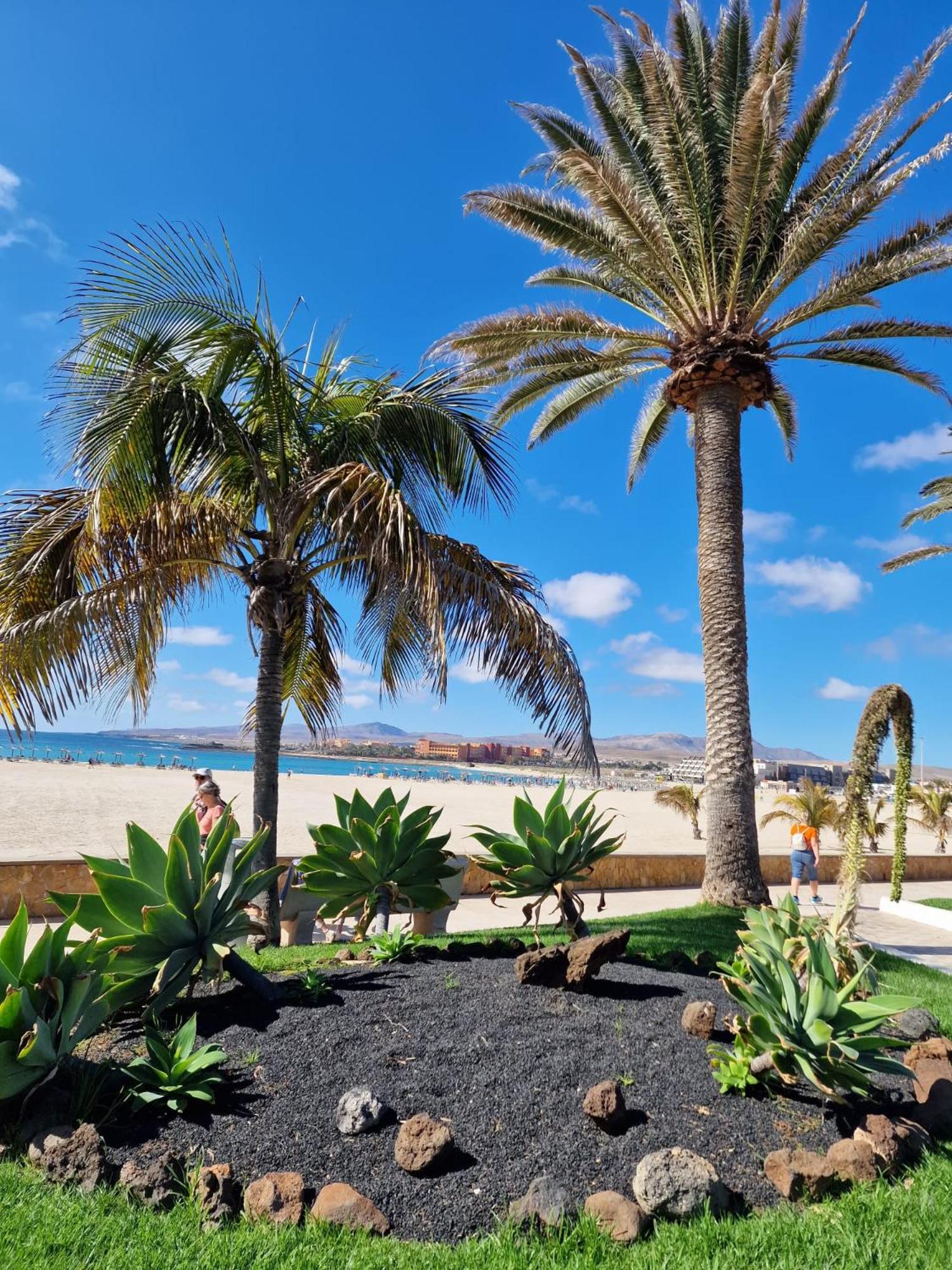 Apartament CALETA view 3