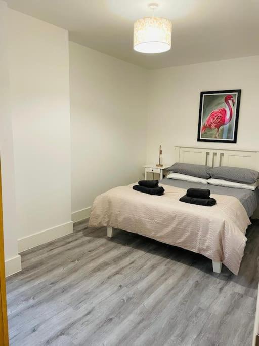 Central modern 1 Bed 1 Bath flat view 4