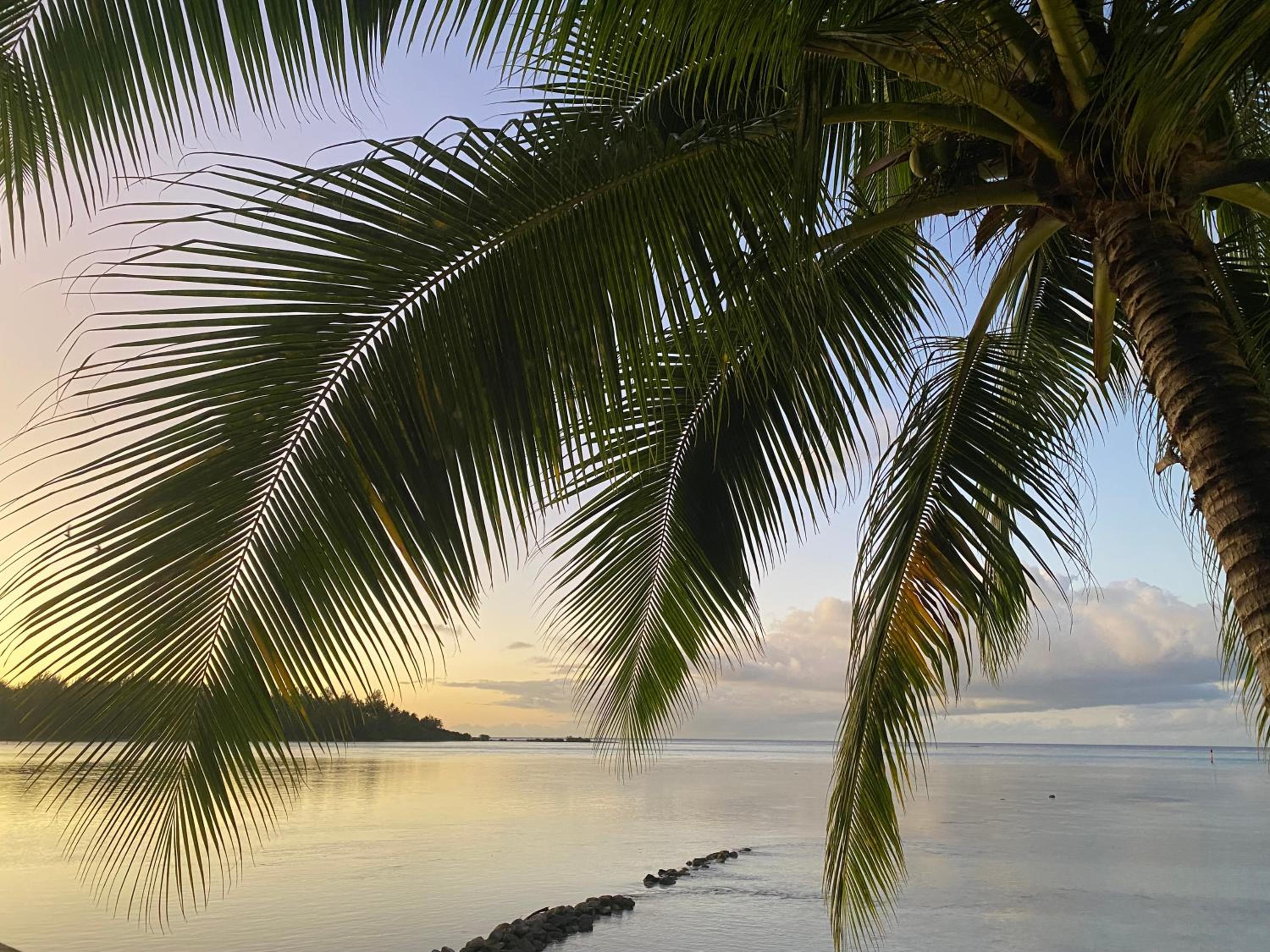 Tradewinds Lodge